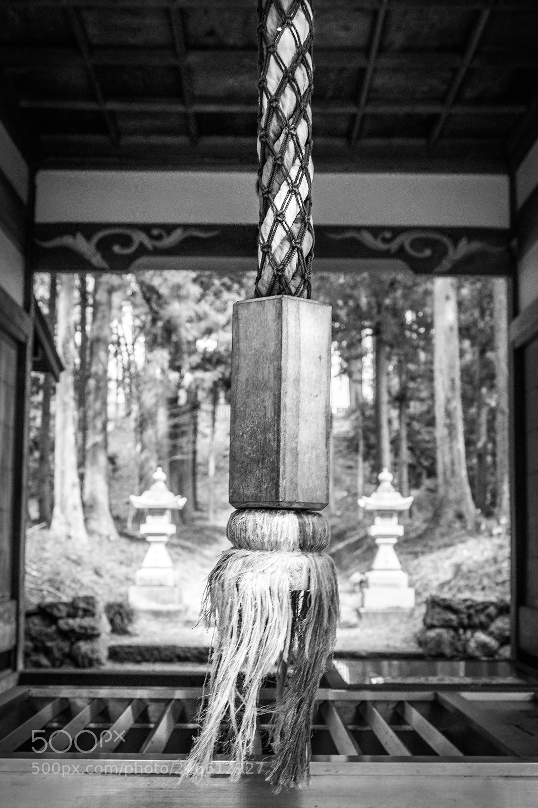 Nikon D5600 sample photo. Bell rope in a photography