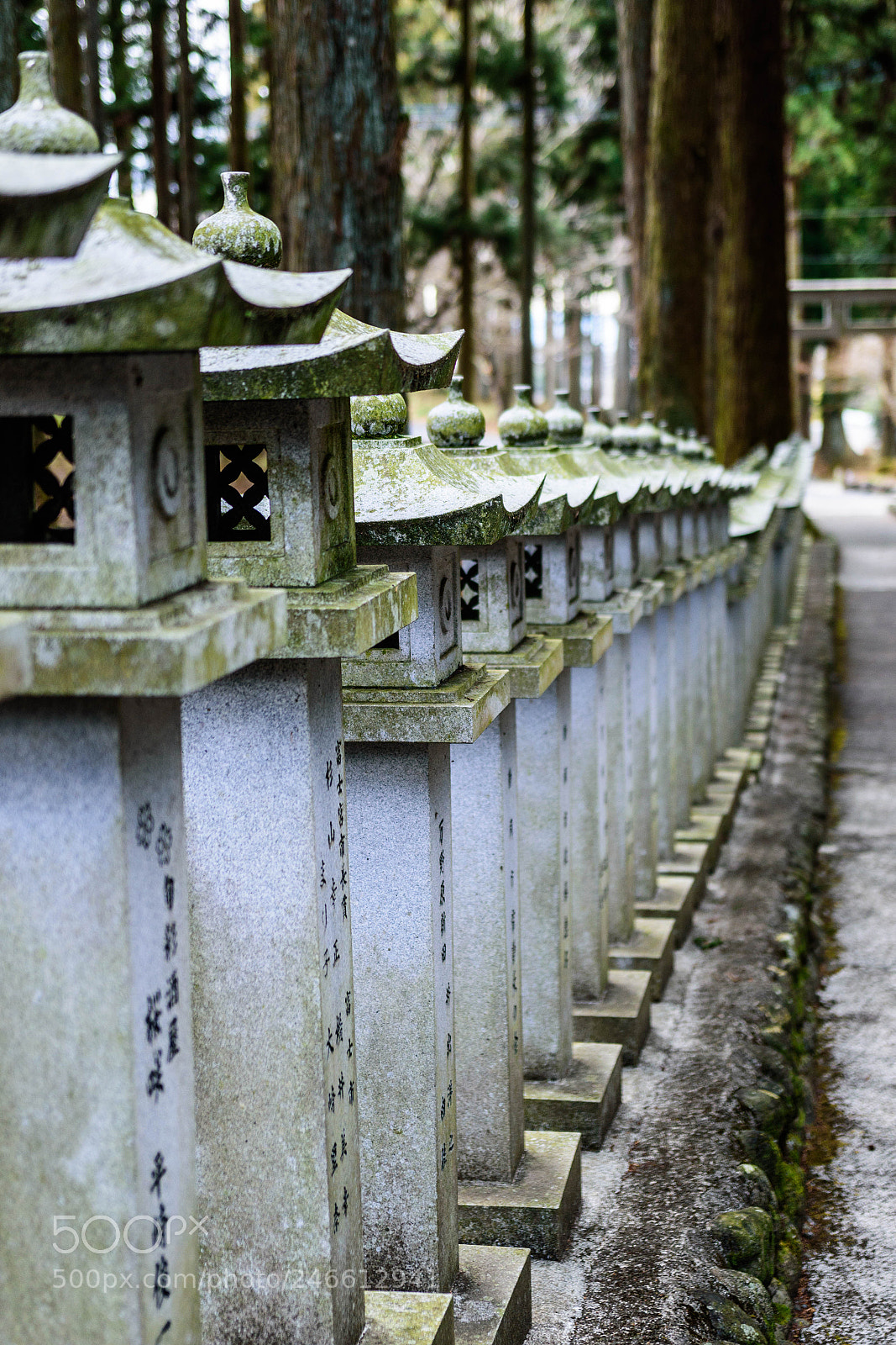 Nikon D5600 sample photo. Shrine dedicated to mt photography