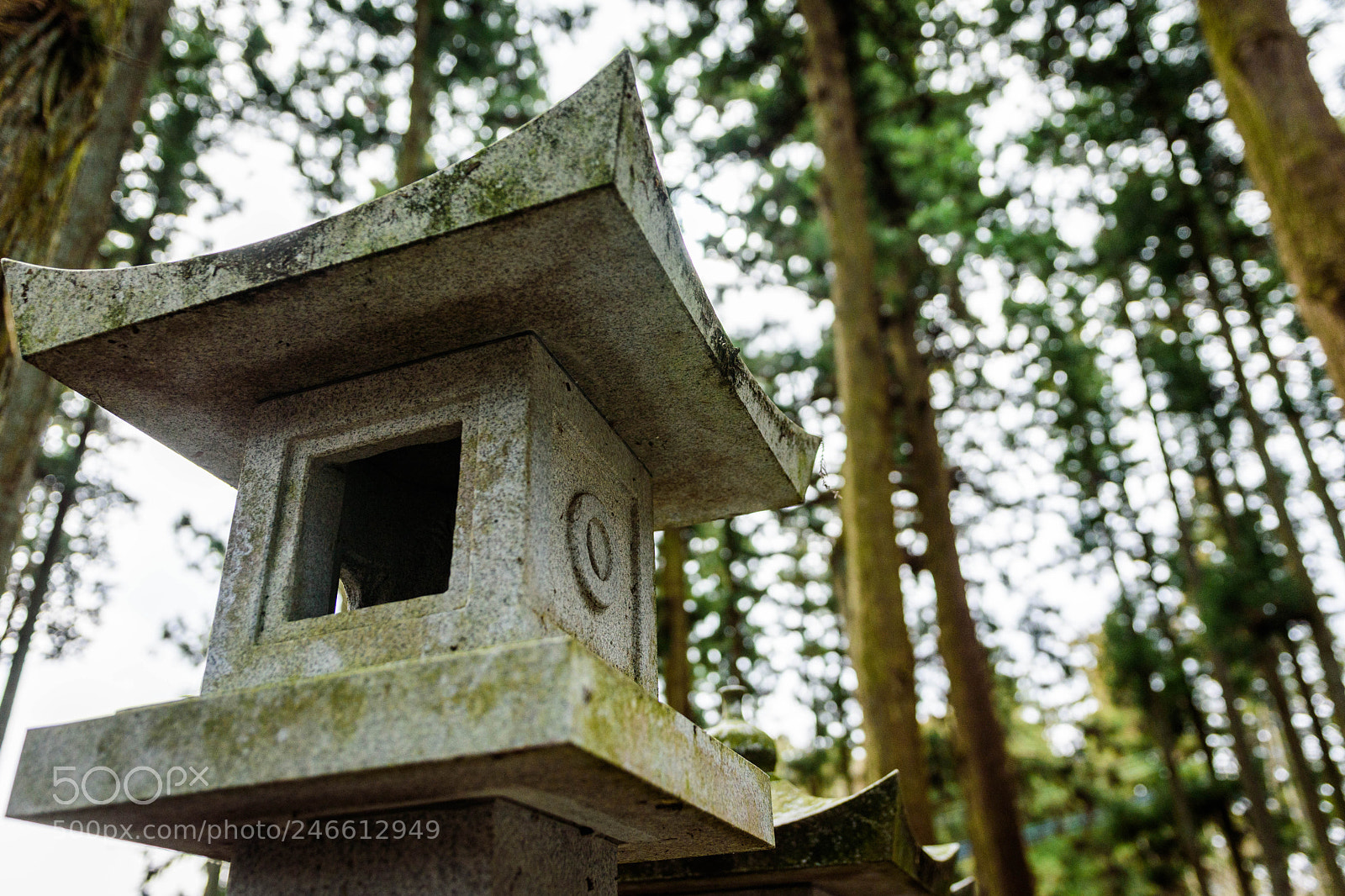 Nikon D5600 sample photo. Shrine dedicated to mt photography