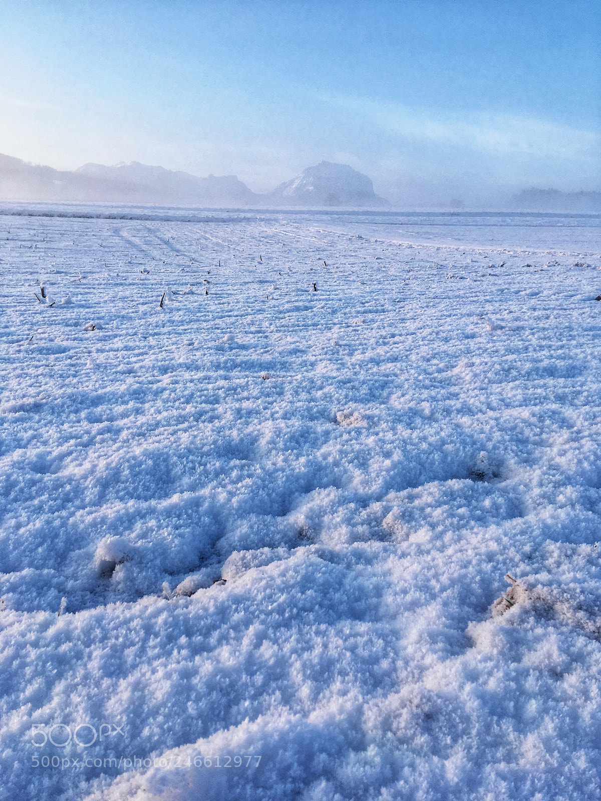 Apple iPhone SE sample photo. White frost on field photography