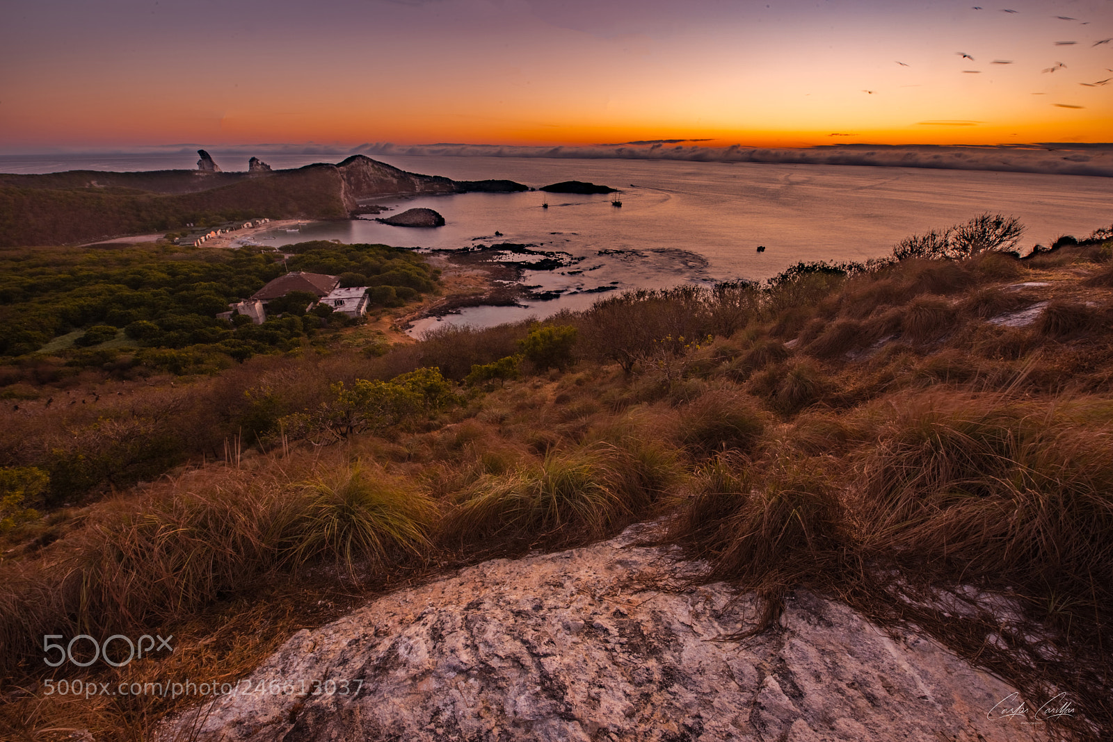 Nikon D810 sample photo. Sunrise with birds photography