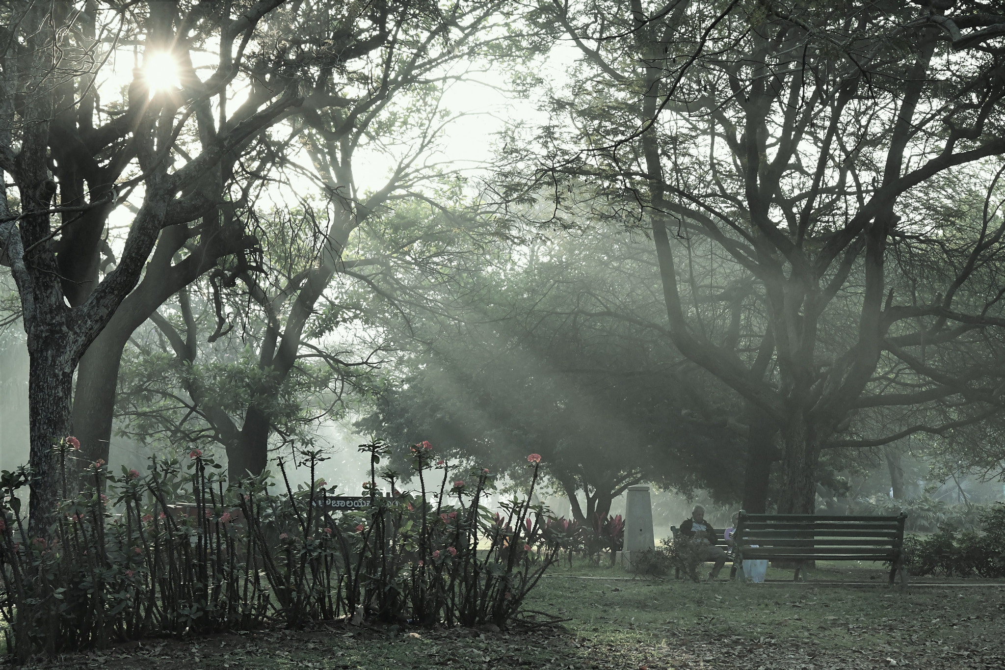 Nikon D7500 sample photo. Rays of hope photography