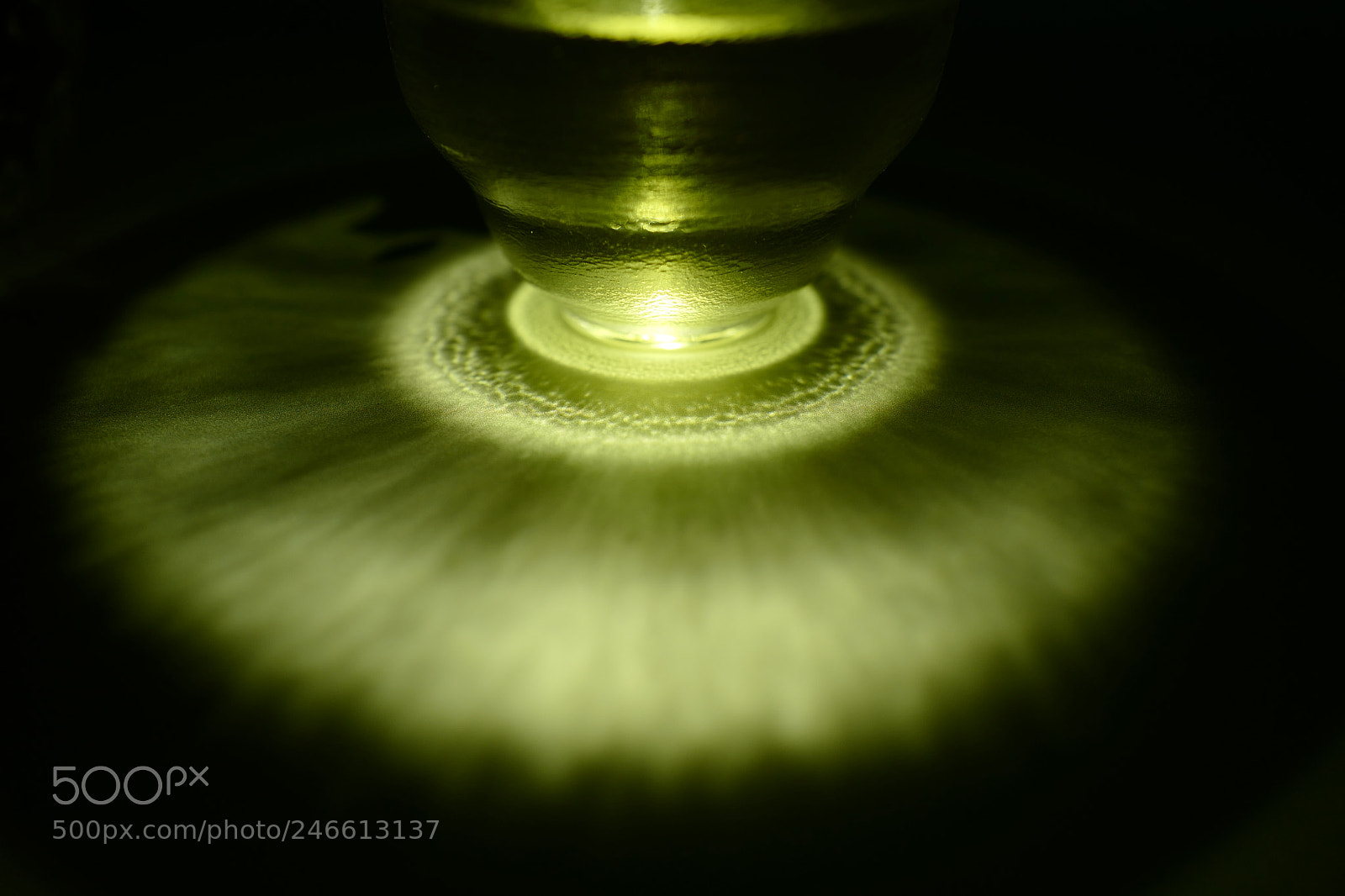 Leica Q (Typ 116) sample photo. Teacup 5 photography