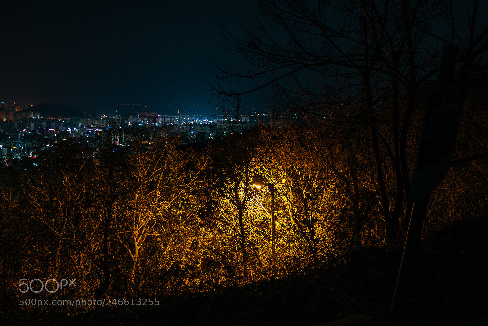 Sony a7R III sample photo. Untitled photography