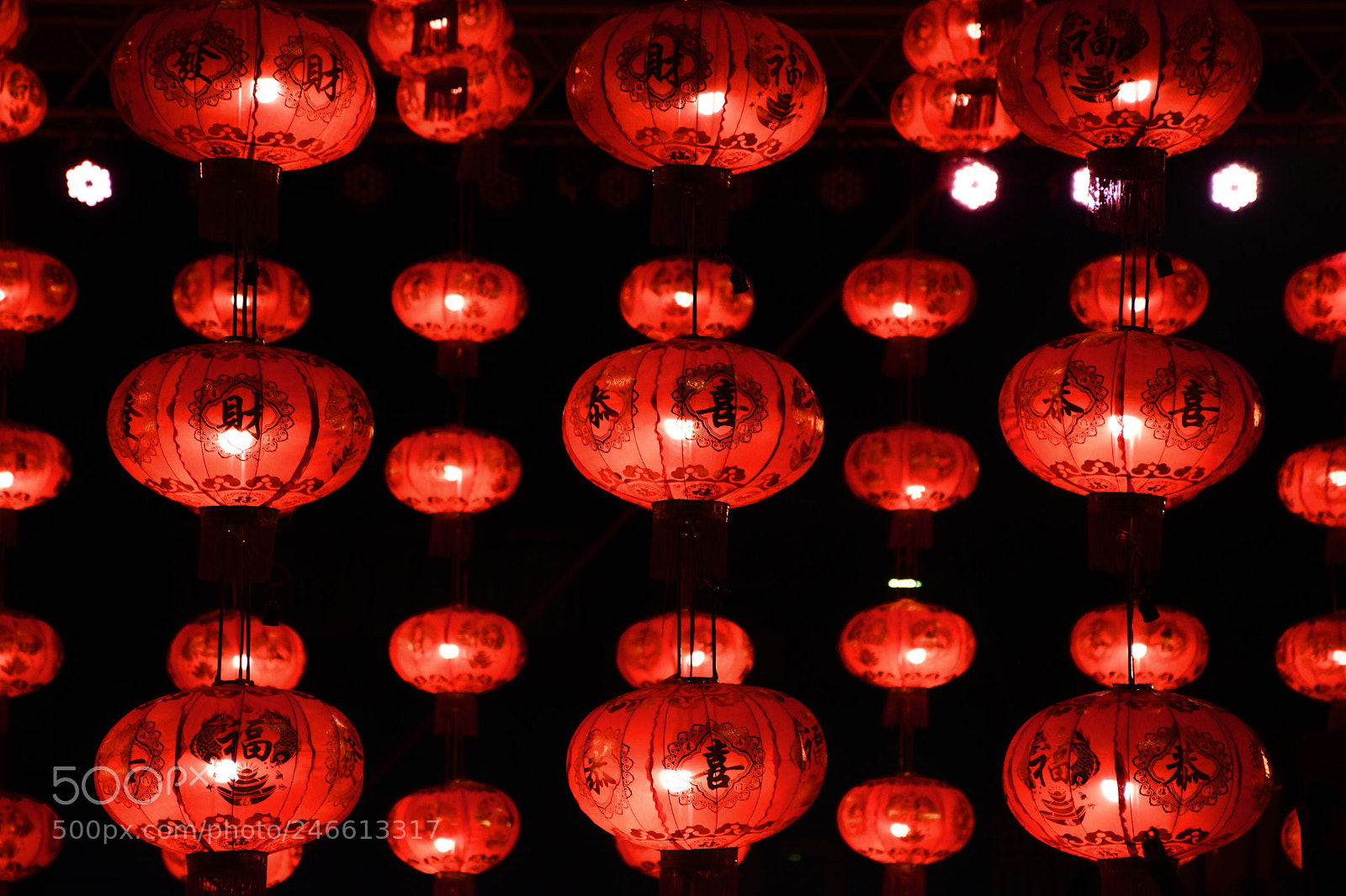 Nikon D5600 sample photo. Lampion photography