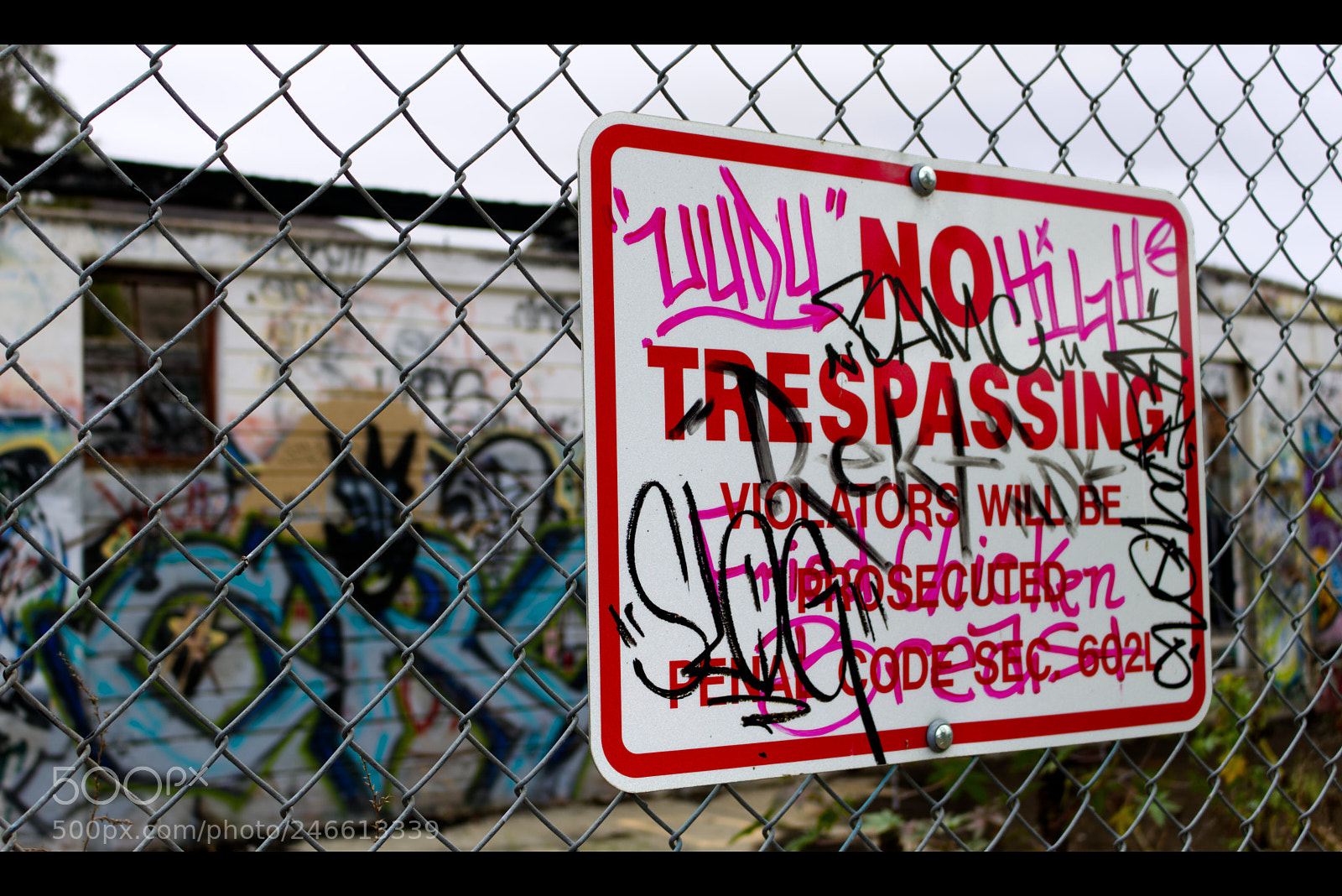 Canon EOS 100D (EOS Rebel SL1 / EOS Kiss X7) sample photo. Scary dairy photography