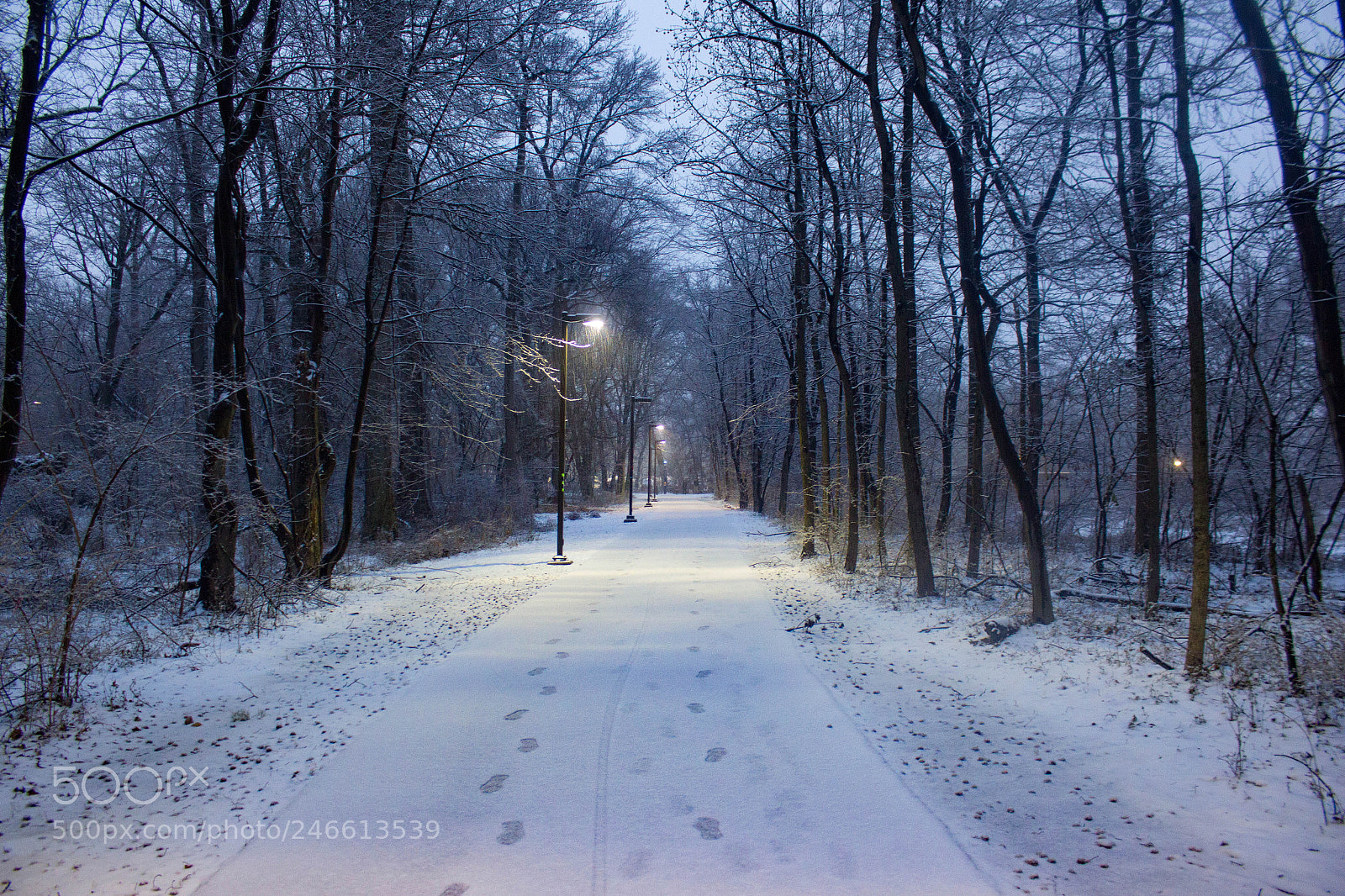 Canon EOS 700D (EOS Rebel T5i / EOS Kiss X7i) sample photo. Snowy trail photography