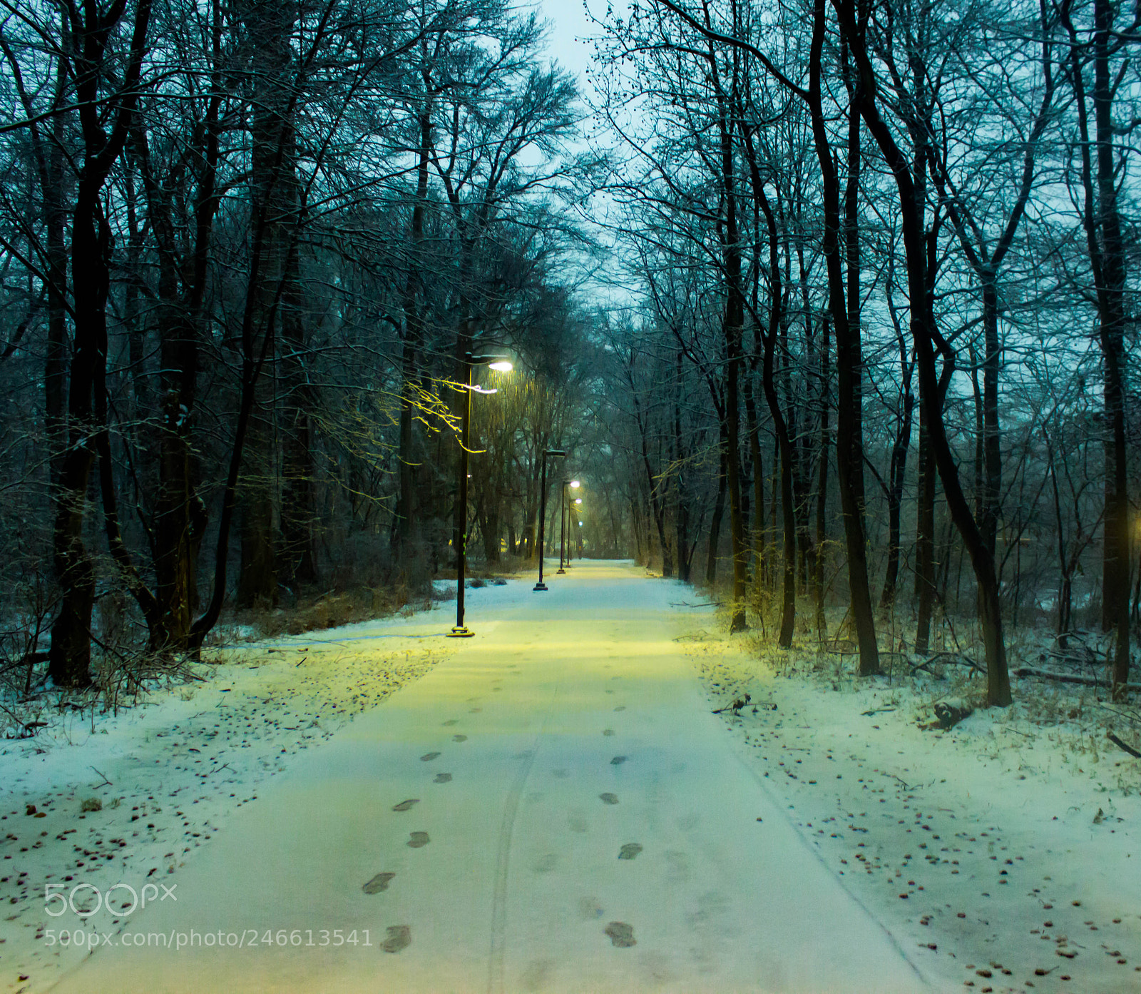 Canon EOS 700D (EOS Rebel T5i / EOS Kiss X7i) sample photo. Snowy trail photography