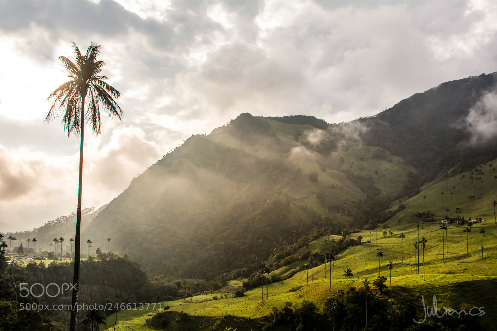 Nikon D7100 sample photo. Atardecer cocora photography