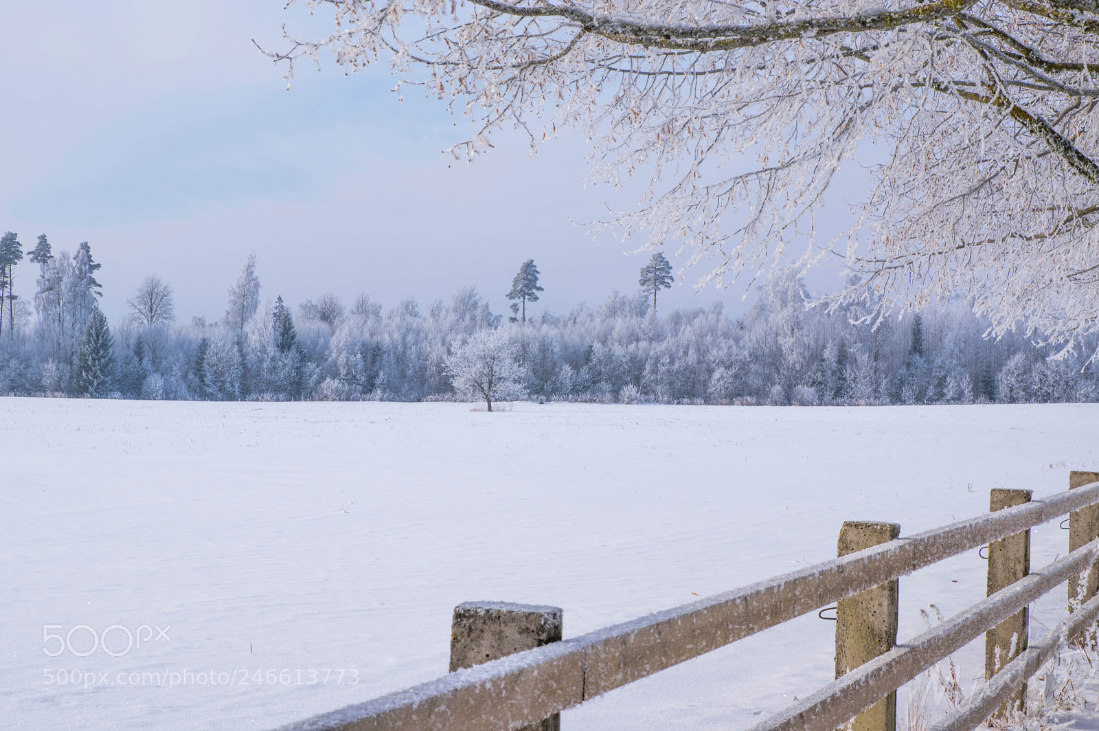 Pentax K-3 sample photo. Winter ffs photography
