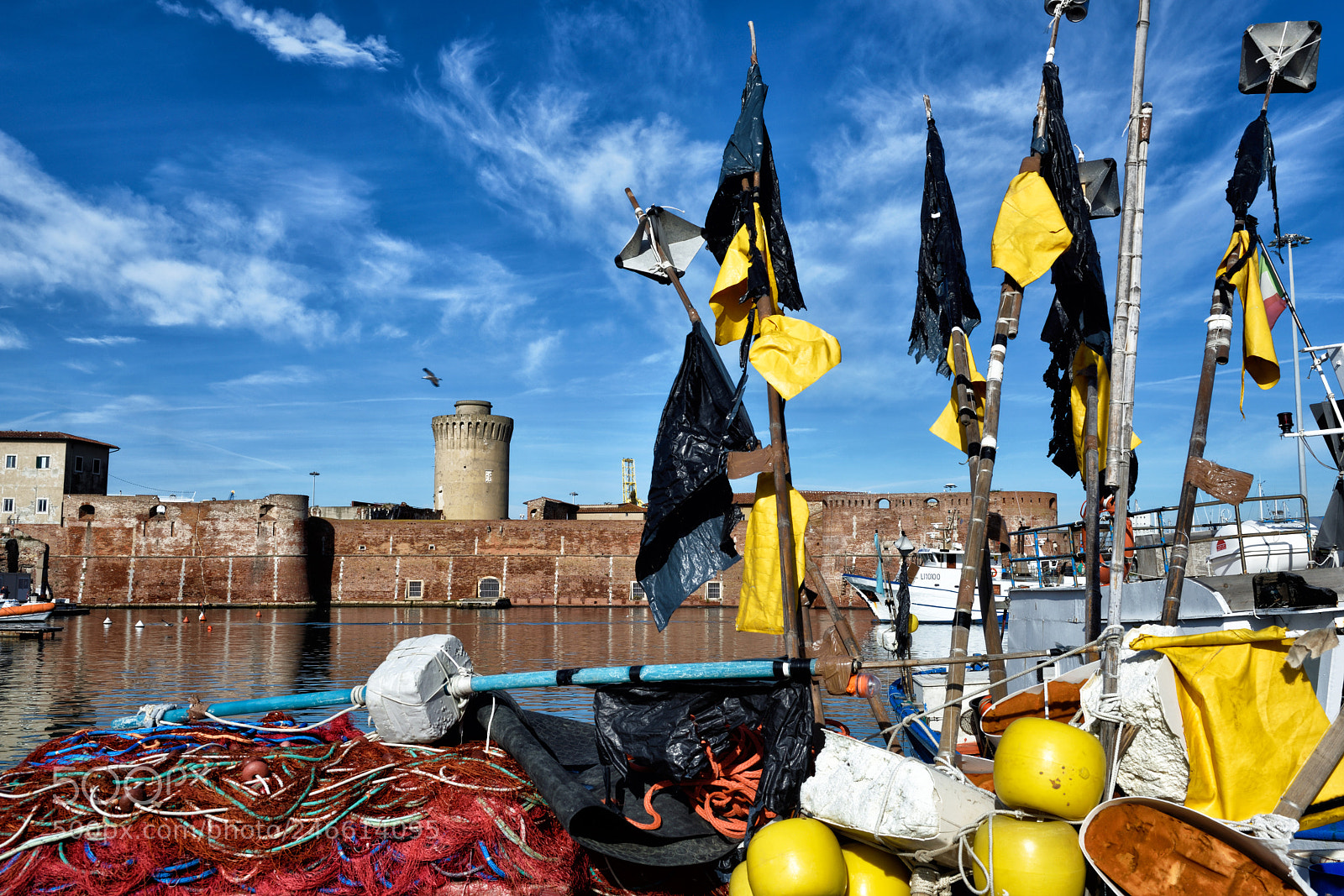 Nikon D810 sample photo. In sky and earth photography