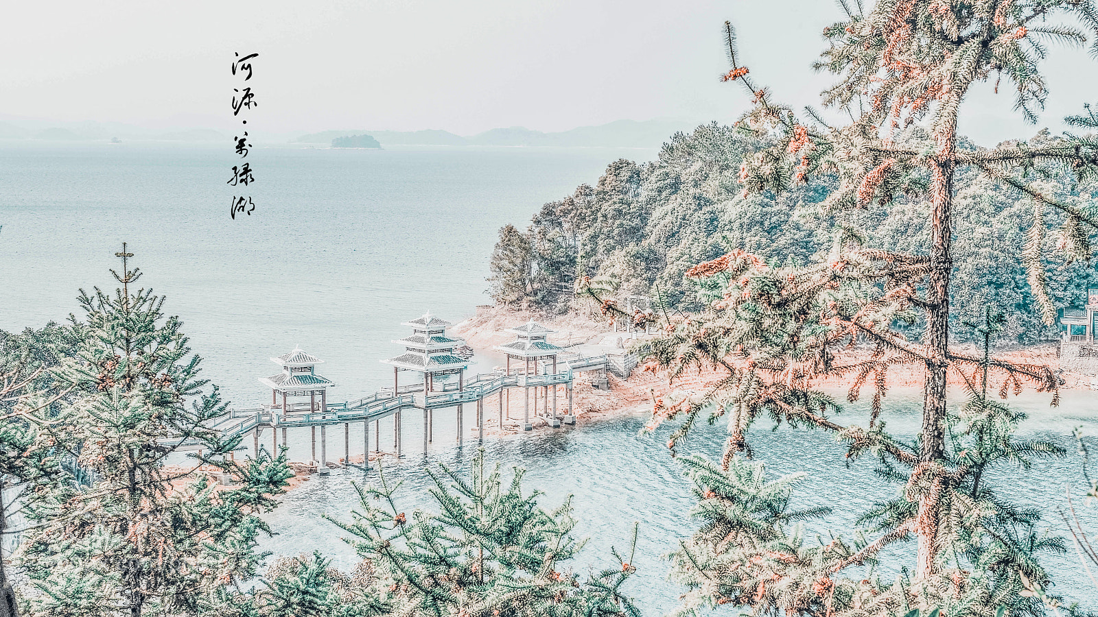 Fujifilm X-Pro2 sample photo. Untitled photography