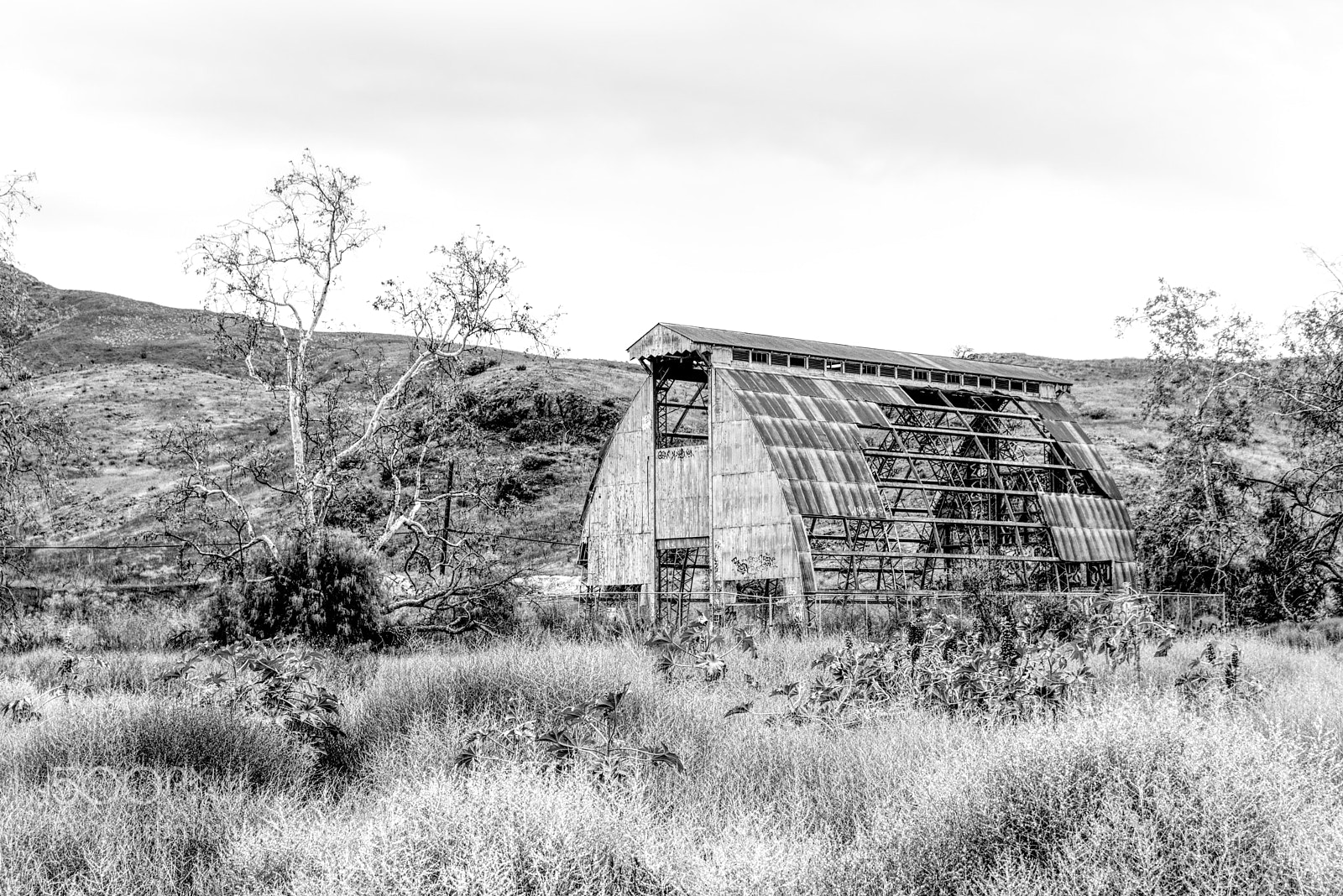 Canon EOS 100D (EOS Rebel SL1 / EOS Kiss X7) sample photo. Scary dairy photography
