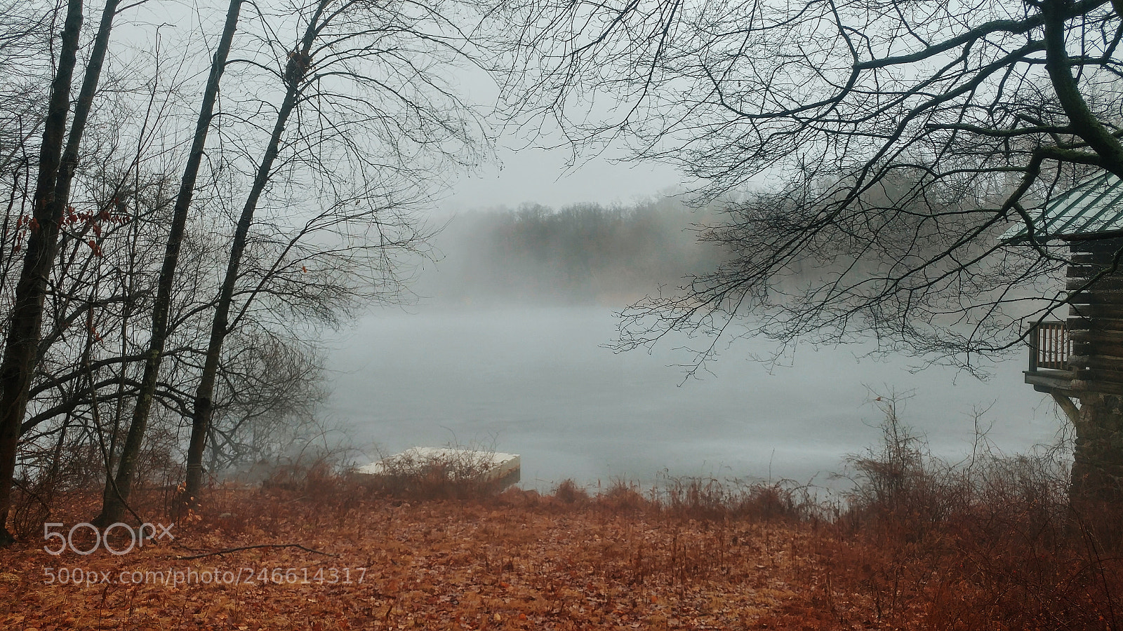 LG G5 sample photo. Foggy lake photography