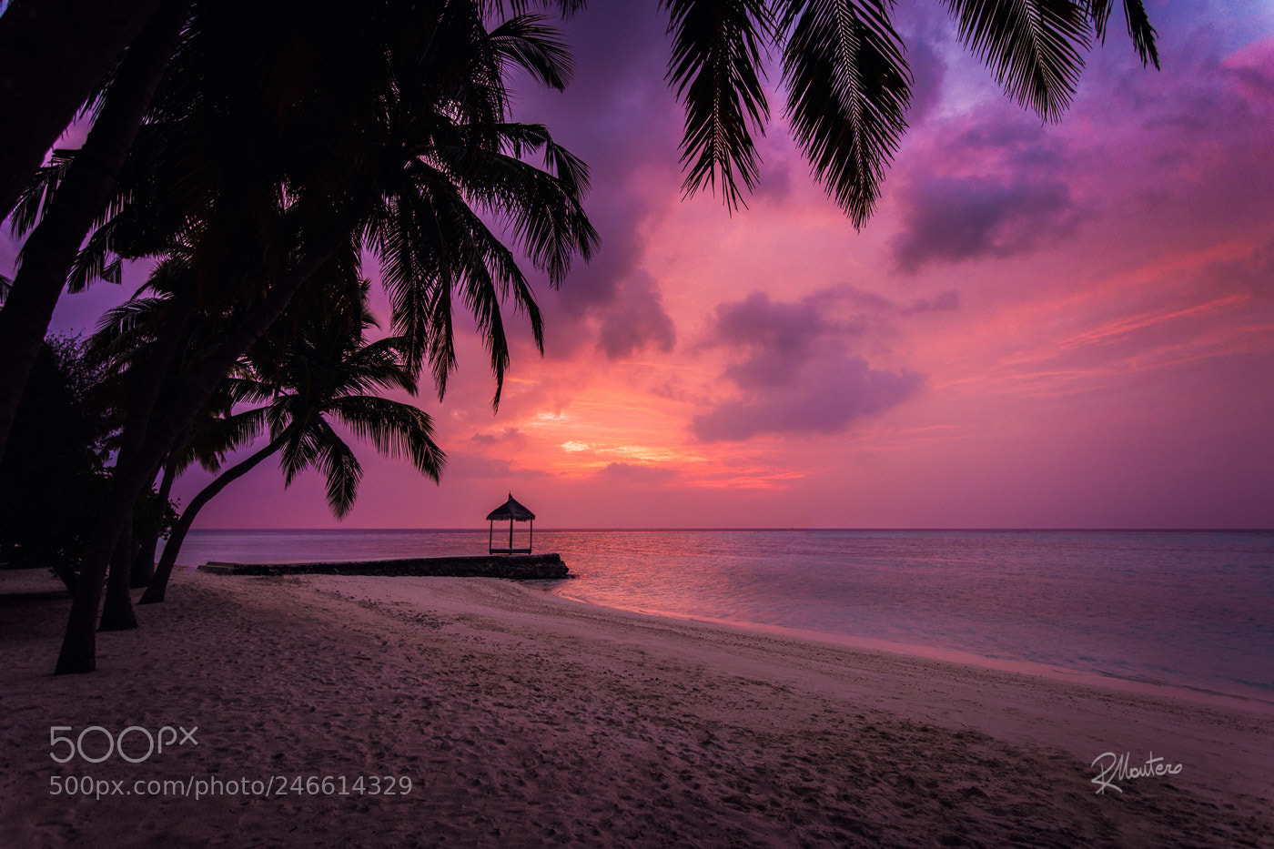Nikon D810 sample photo. Another day in paradise photography