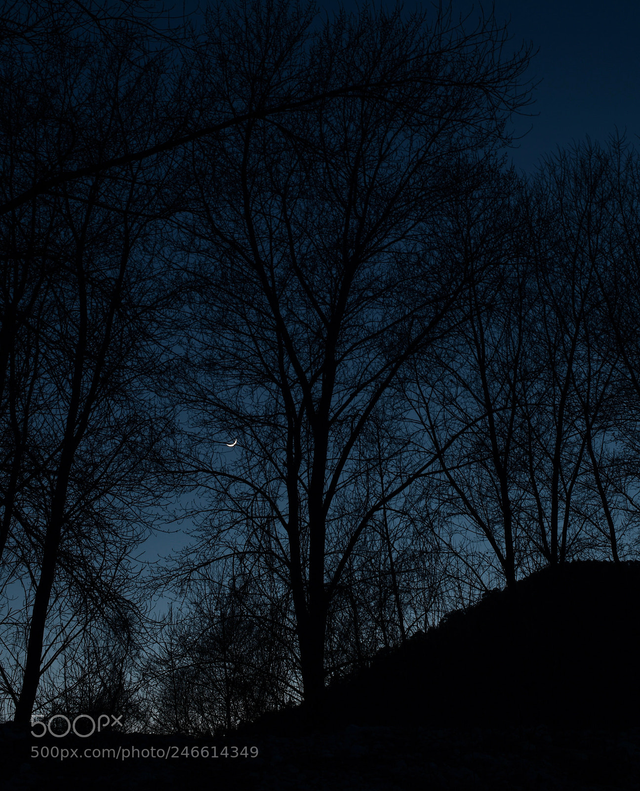 Nikon D850 sample photo. New moon silhouettes photography