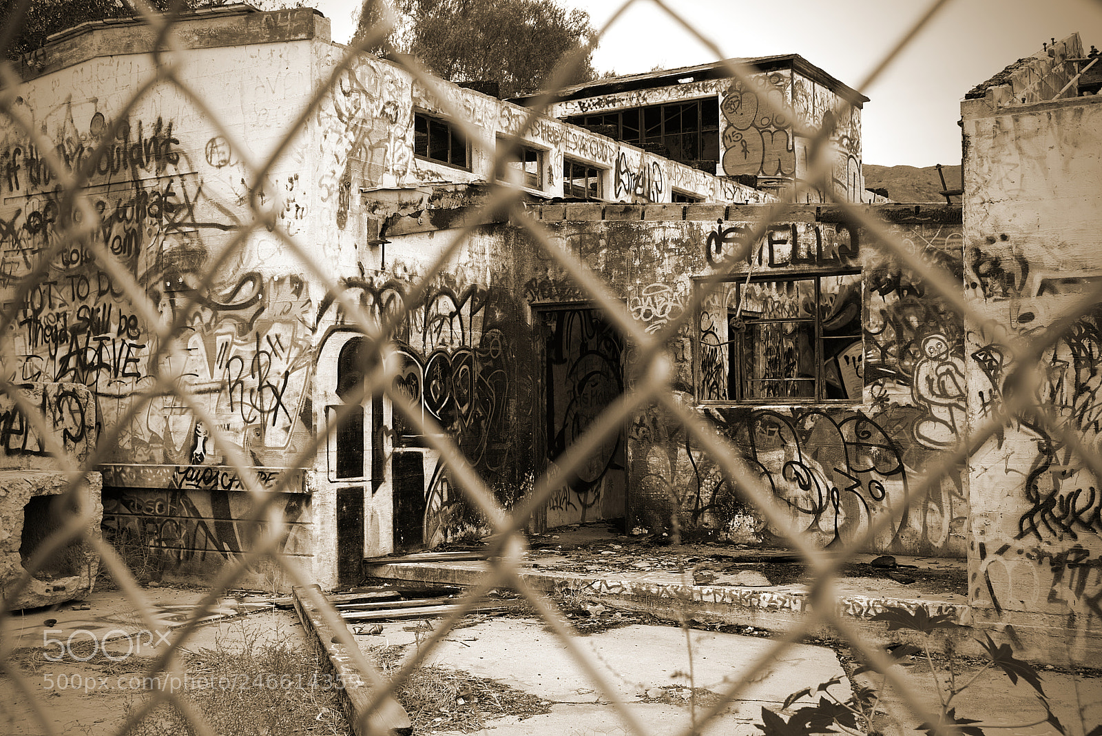 Canon EOS 100D (EOS Rebel SL1 / EOS Kiss X7) sample photo. Scary dairy photography
