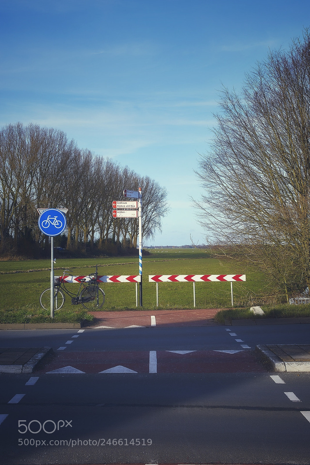Sony ILCA-77M2 sample photo. Bicycle country photography