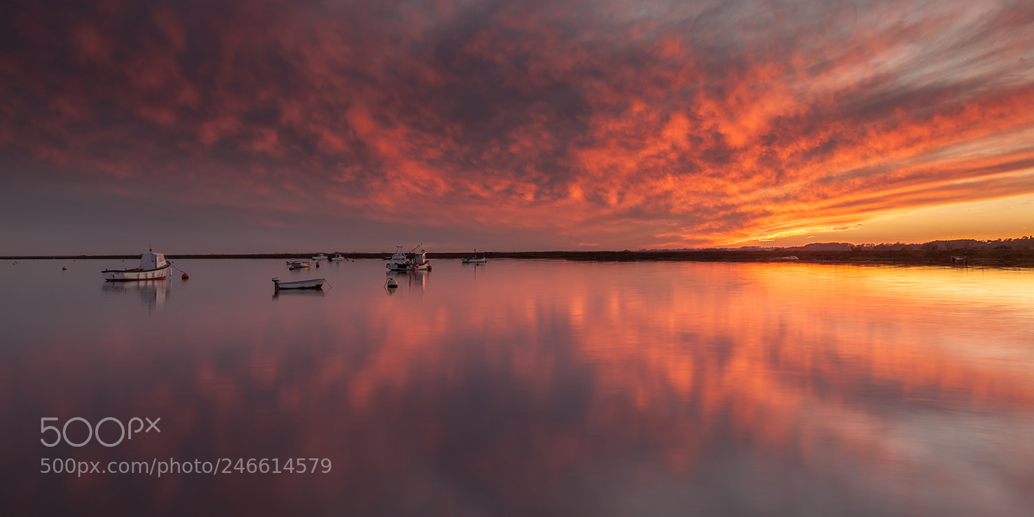 Canon EOS 5D Mark II sample photo. Orford suffolk photography