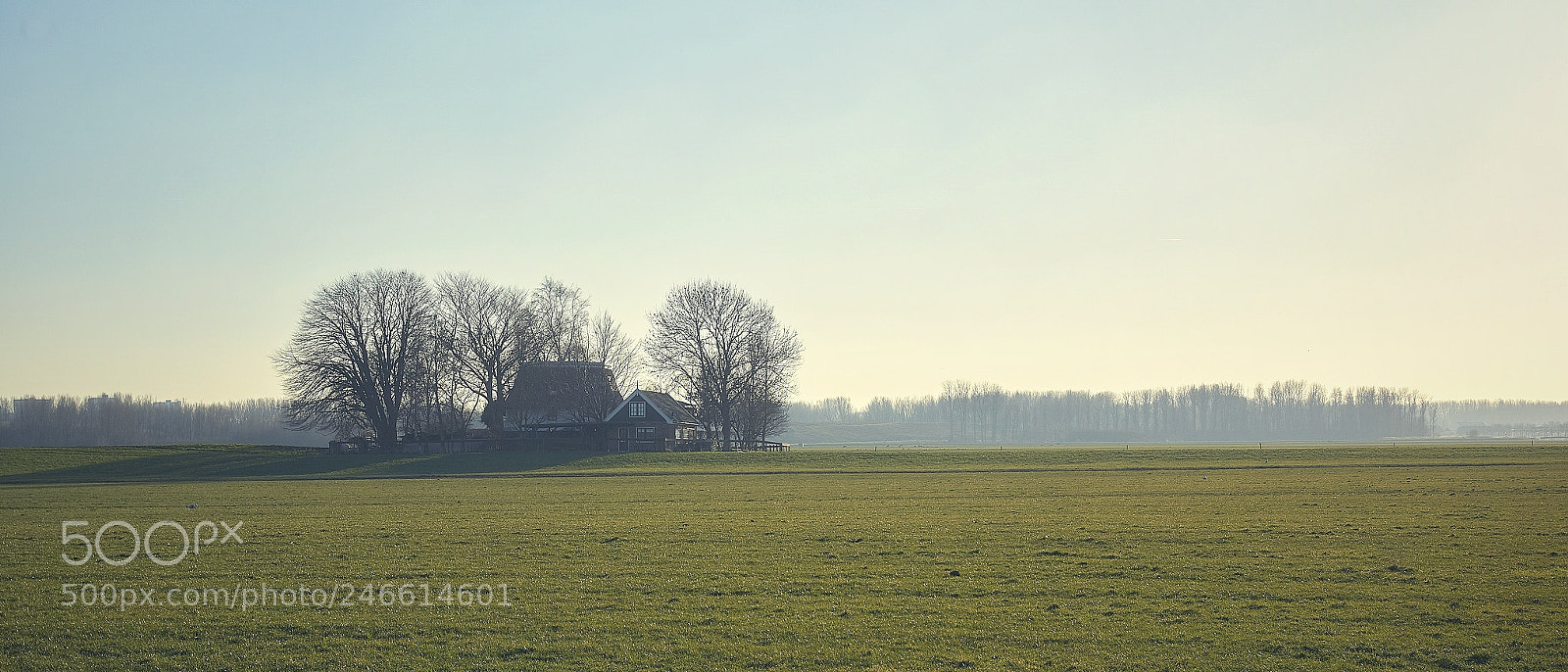 Sony ILCA-77M2 sample photo. Dutch landscape photography
