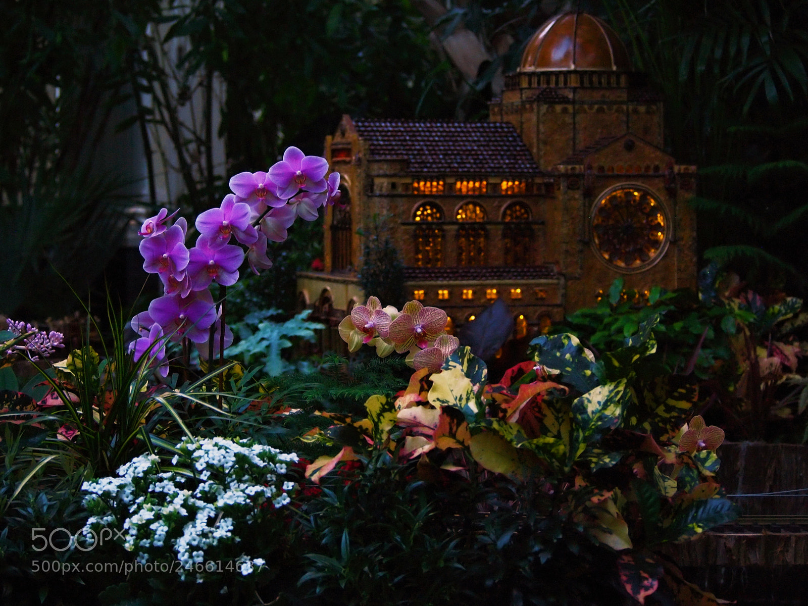 Olympus PEN E-PL1 sample photo. Untitled photography