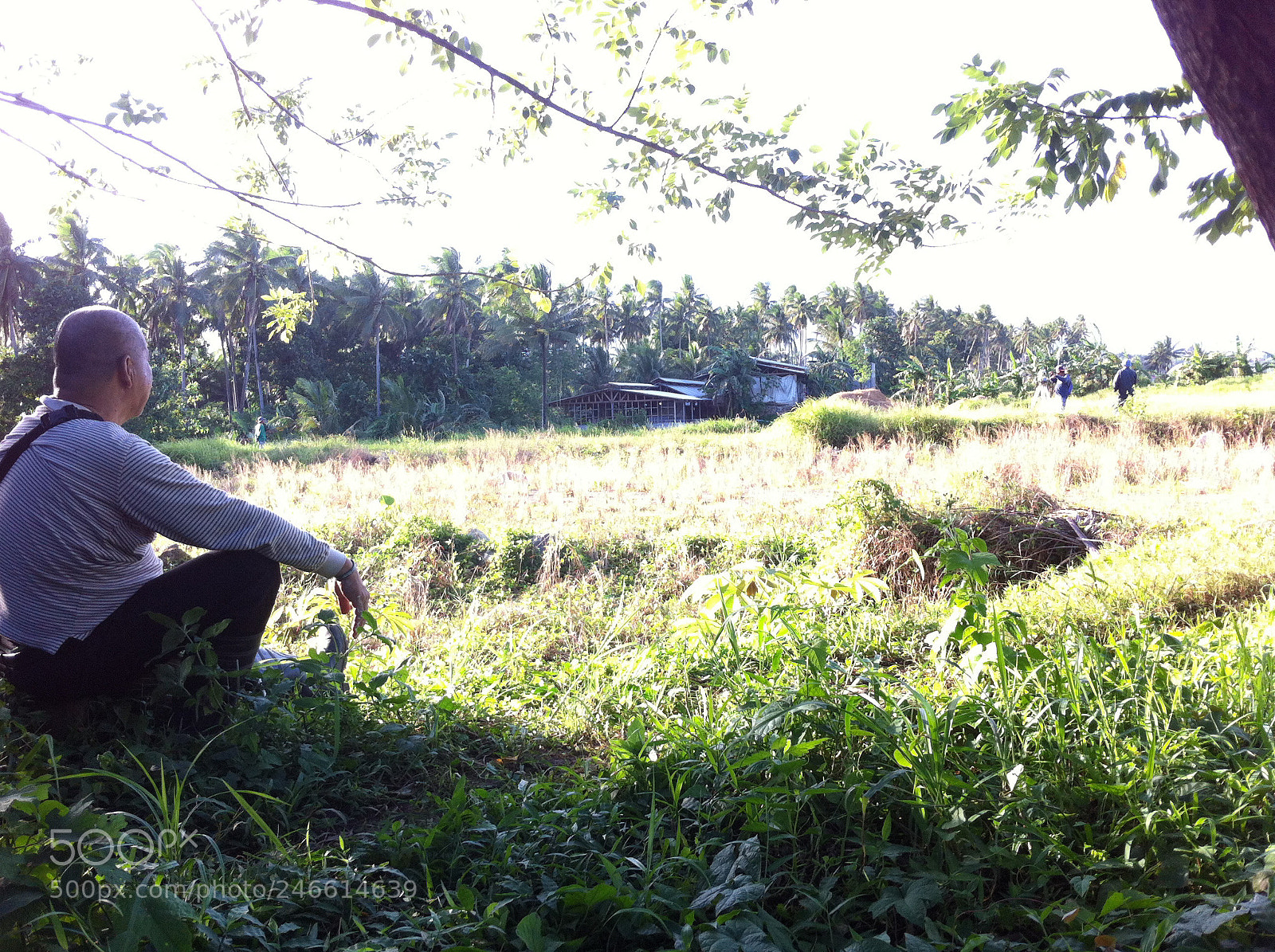 Apple iPhone 4 sample photo. Farm photography
