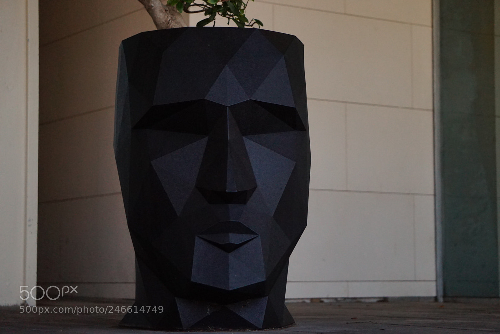 Sony Alpha a5000 (ILCE 5000) sample photo. Untitled photography