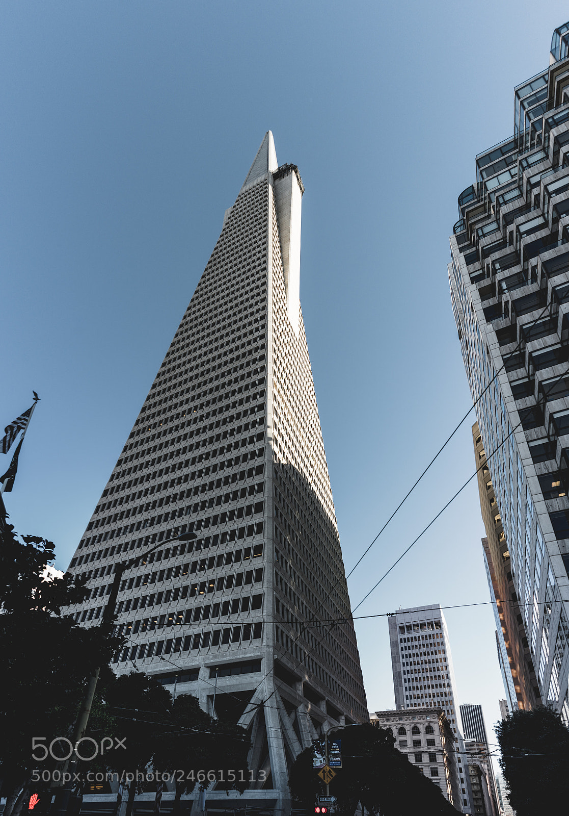 Sony a7 II sample photo. Transamerica pyramid looming over photography