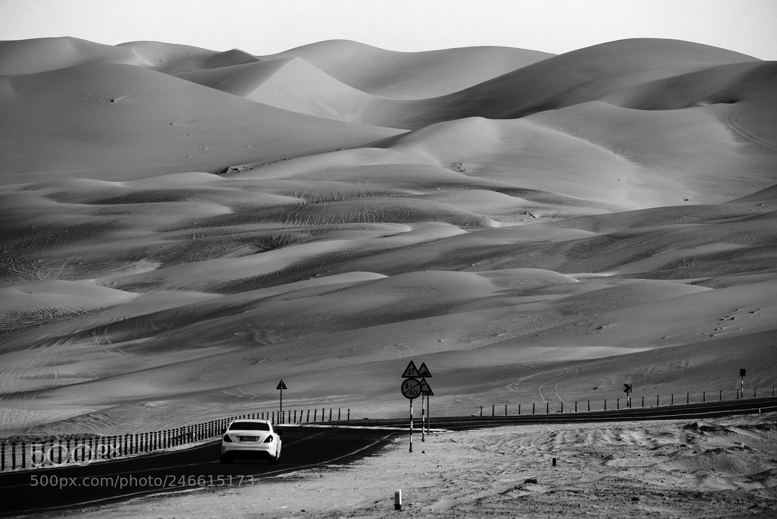 Nikon D810 sample photo. Along the road. photography