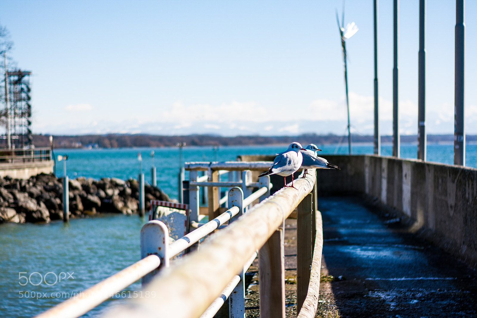 Canon EOS 1000D (EOS Digital Rebel XS / EOS Kiss F) sample photo. Bodensee photography