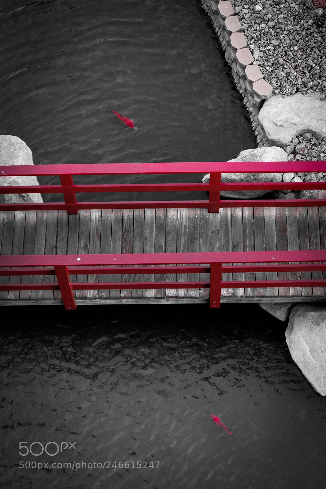 Sony SLT-A65 (SLT-A65V) sample photo. Yin and yang photography