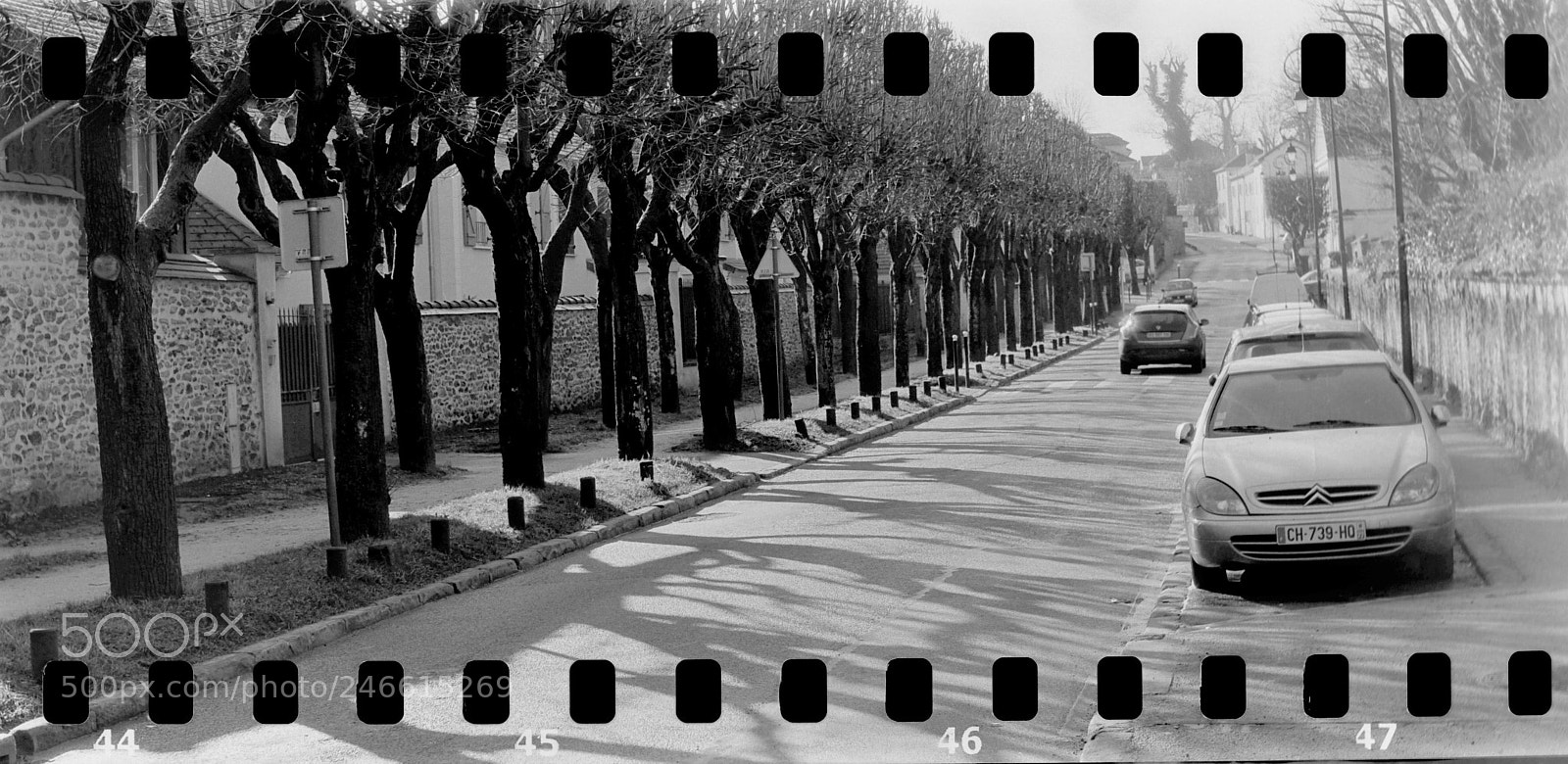 Nikon D700 sample photo. Street. photography