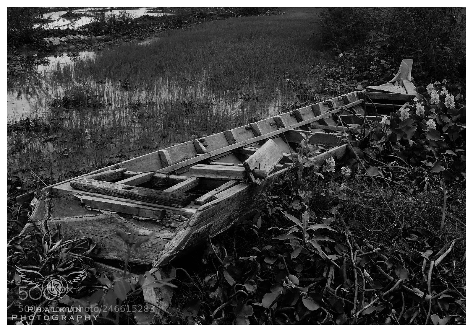 Apple iPhone 6 Plus sample photo. Old boat photography