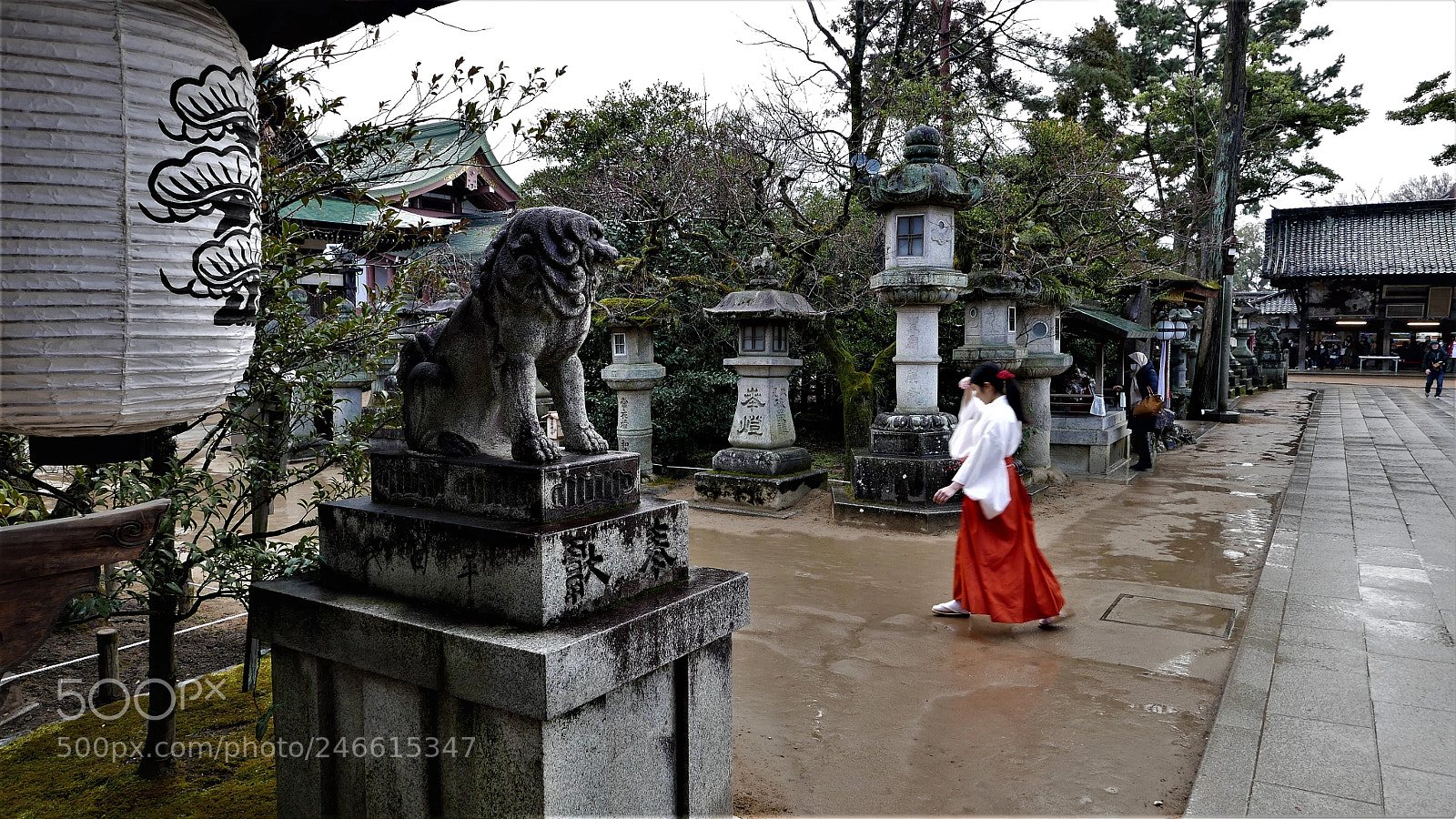 Panasonic Lumix DMC-LX100 sample photo. Waiting for plum bloossom photography