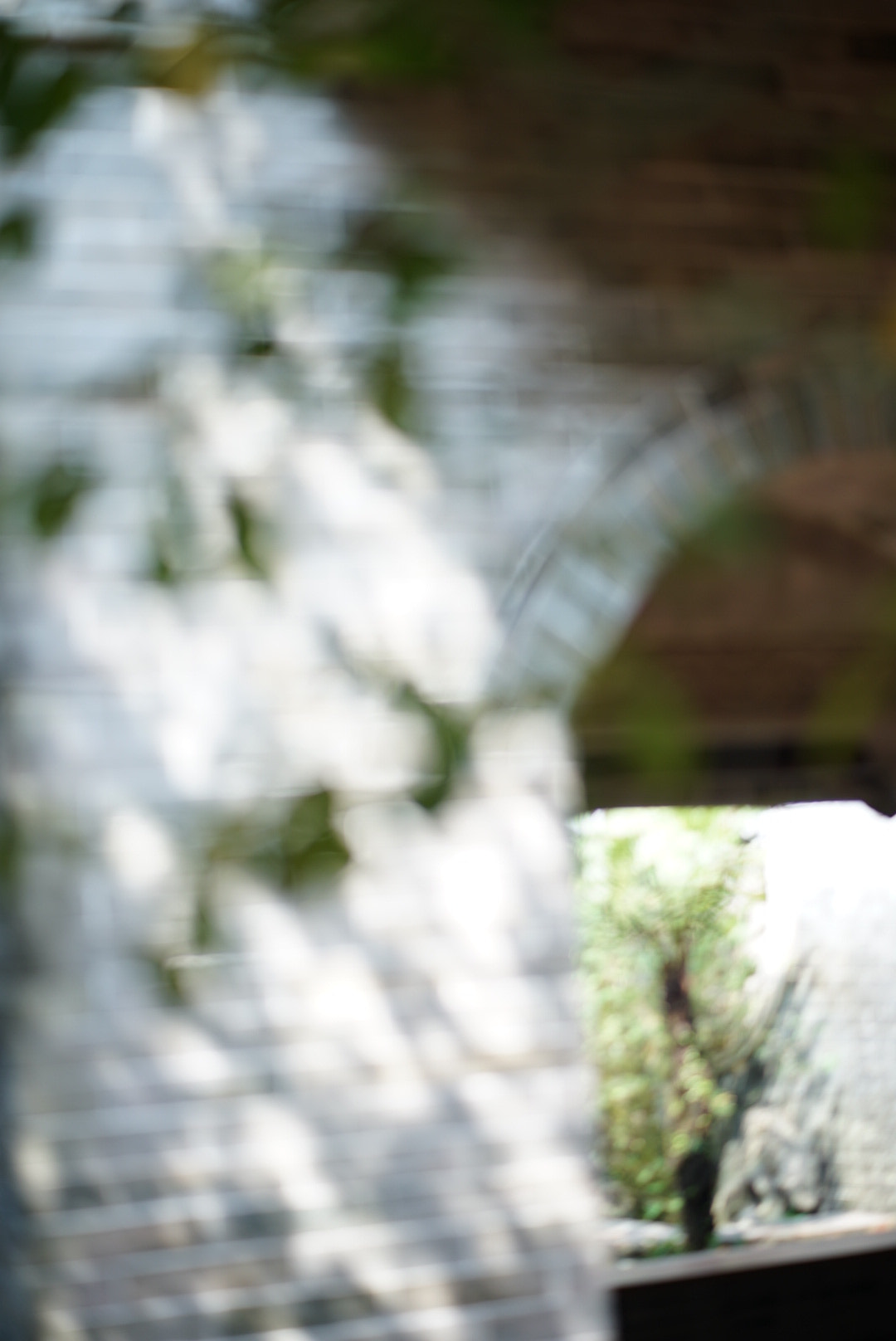 ZEISS Batis 85mm F1.8 sample photo