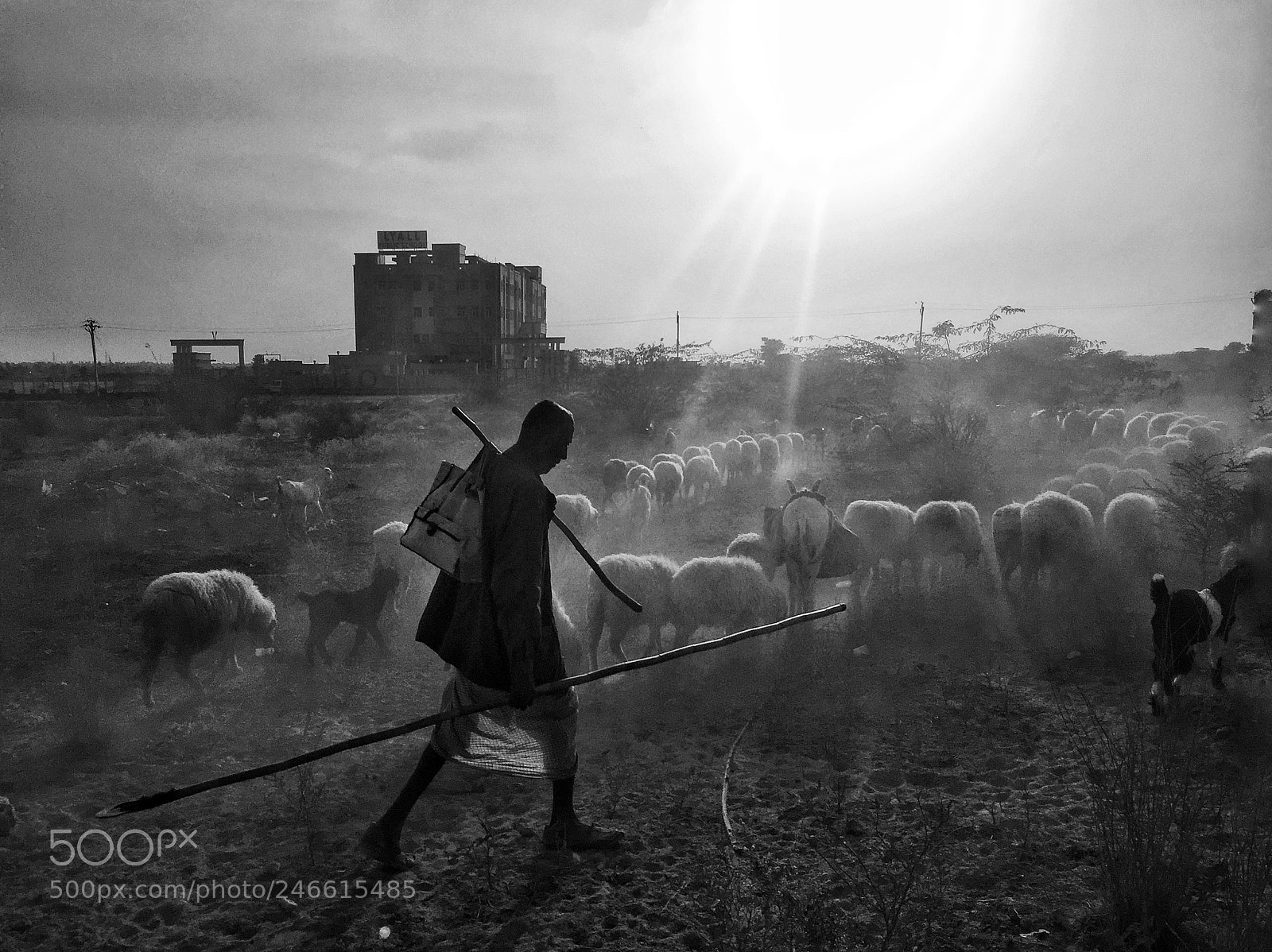 Apple iPhone 6 sample photo. Bhedchal photography