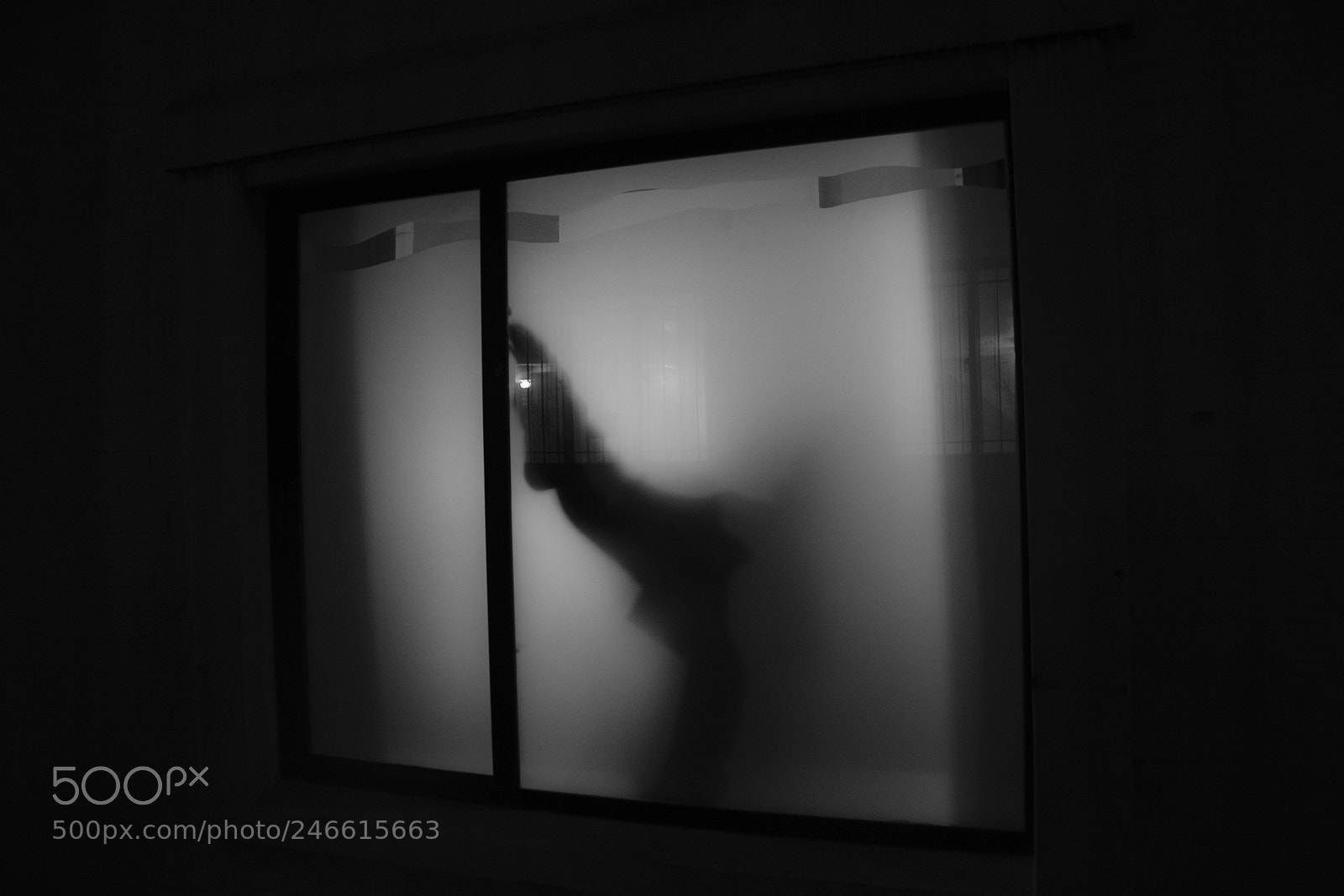 Nikon D7100 sample photo. Suspicion photography