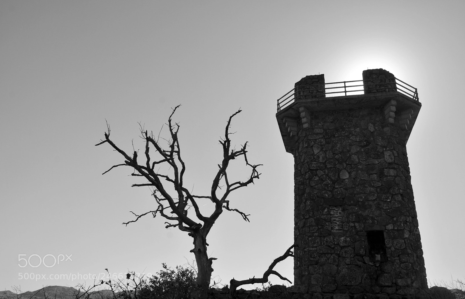 Nikon D7100 sample photo. Towering castle photography