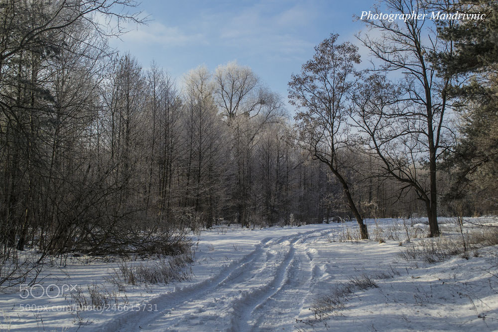 Nikon D3100 sample photo. Untitled photography