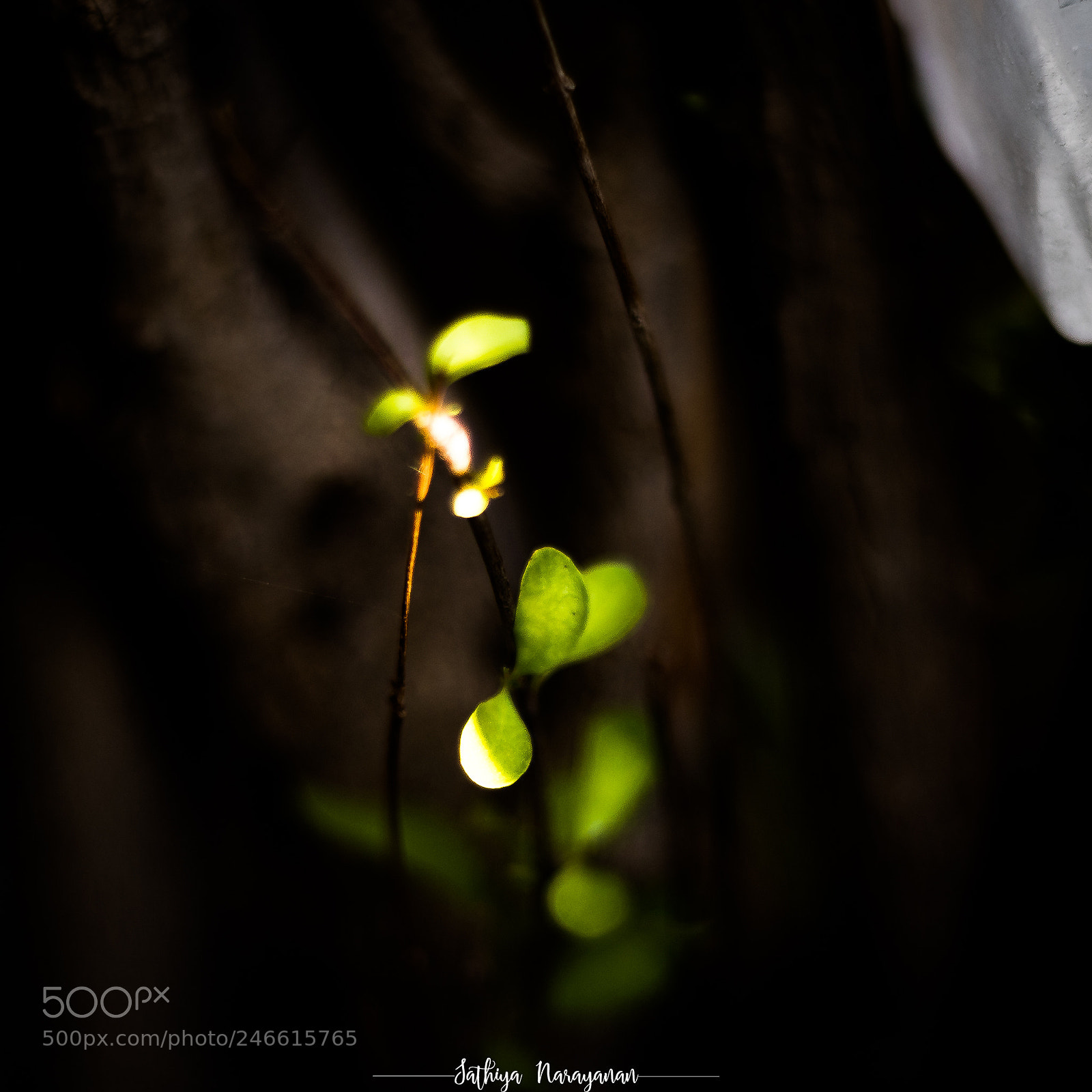 Nikon D810 sample photo. One frame story photography