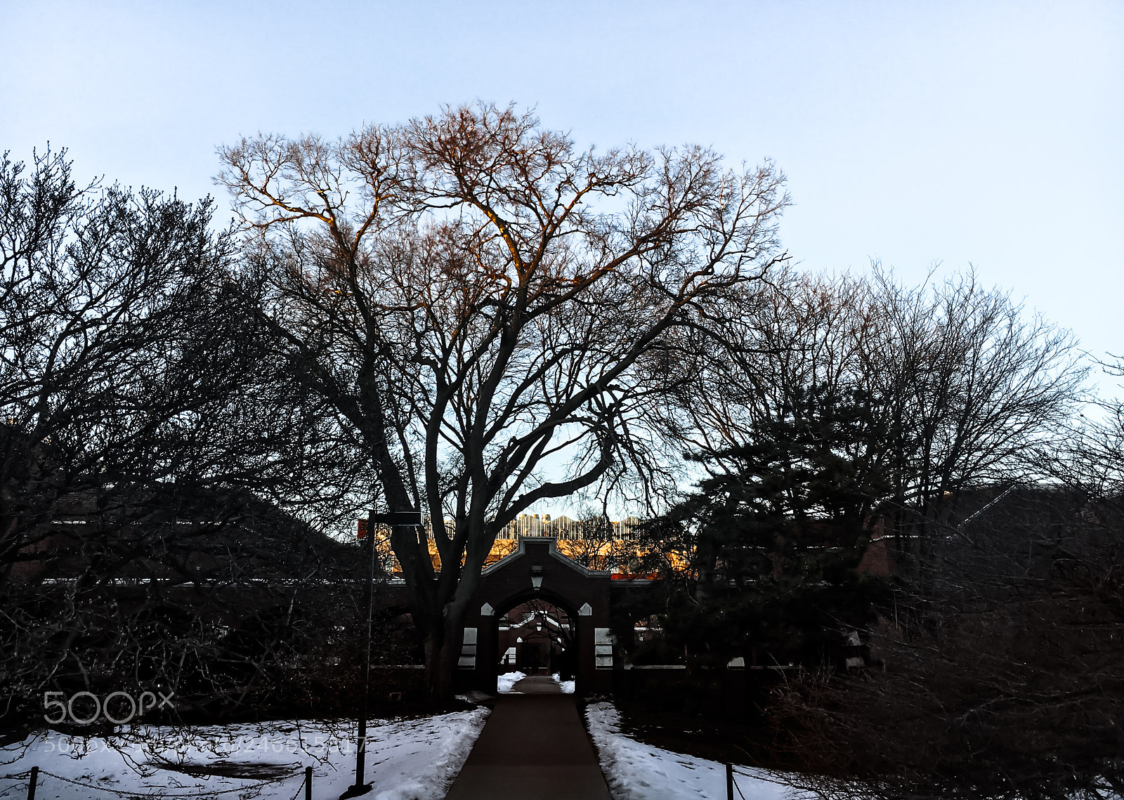 Apple iPhone 6s sample photo. Last light photography