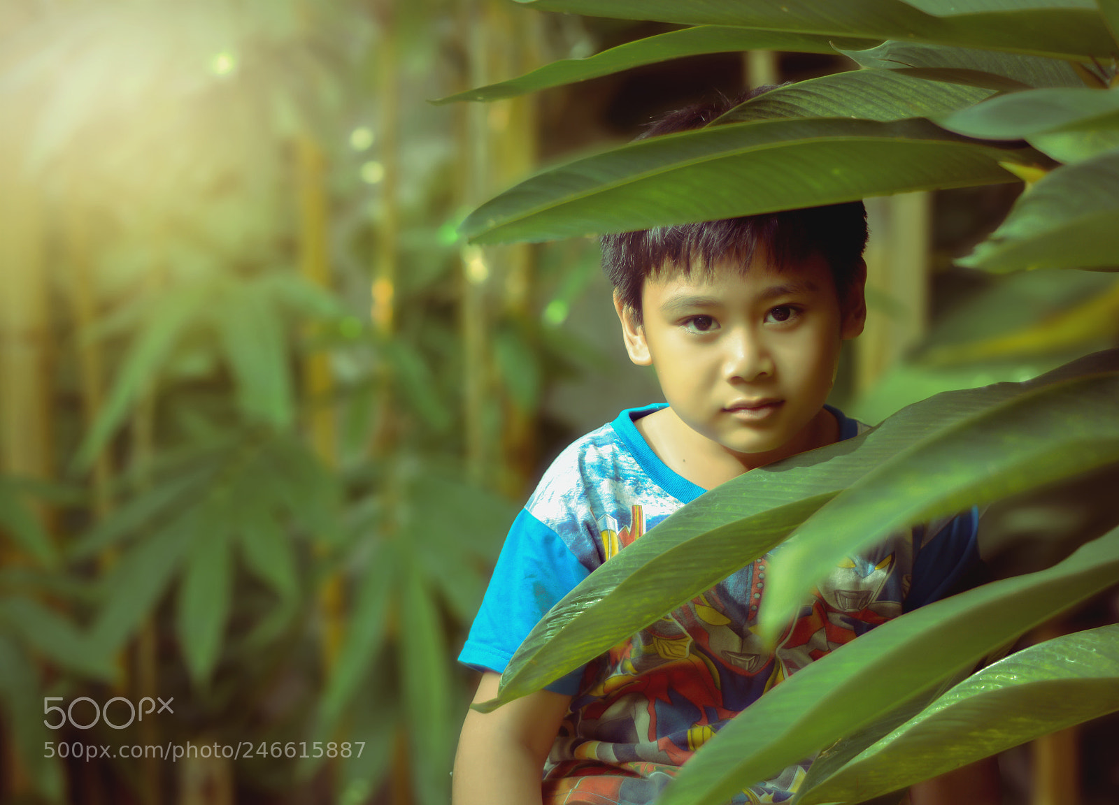 Nikon D7100 sample photo. Hiding photography