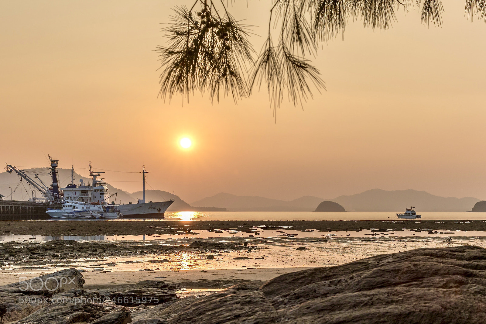 Canon EOS 7D Mark II sample photo. Beach walk. photography