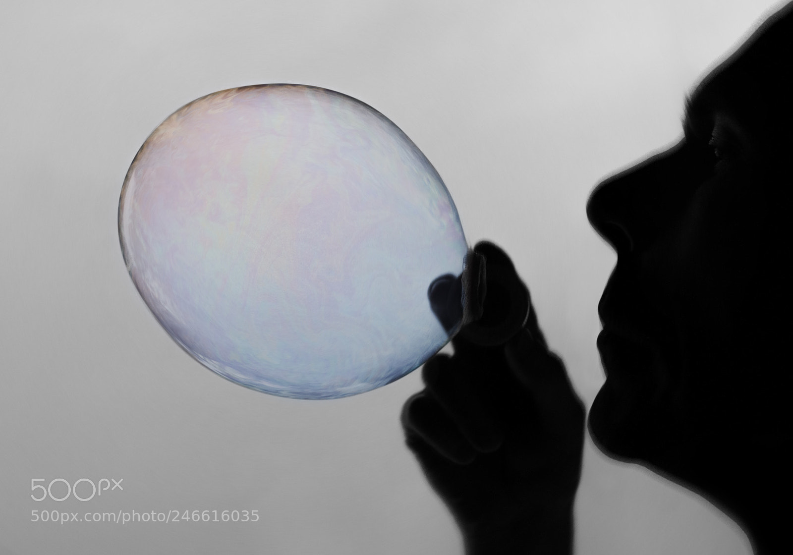 Nikon D5100 sample photo. Creator photography