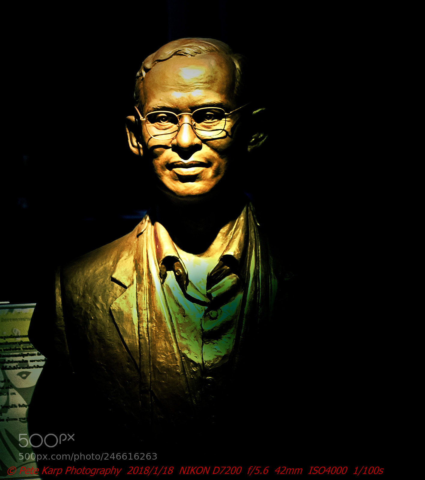 Nikon D7200 sample photo. Bust of rama ix photography