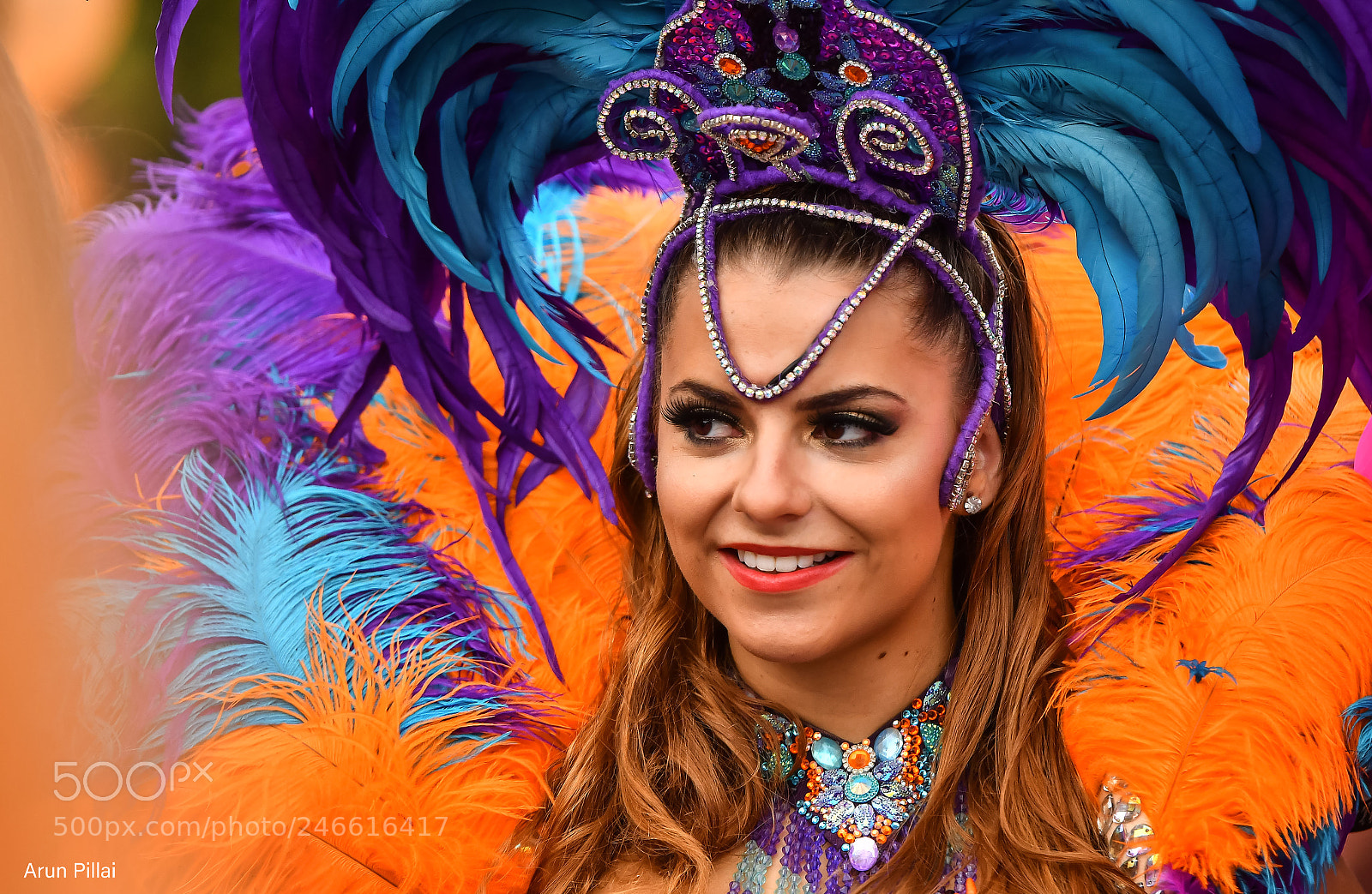 Nikon D500 sample photo. Flamboyance photography