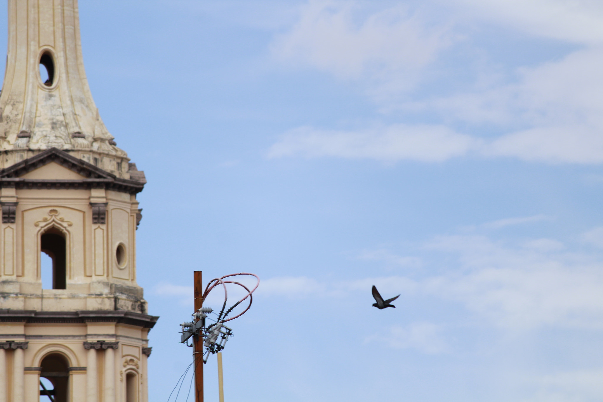 Canon EF-S 55-250mm F4-5.6 IS II sample photo. Elevar photography