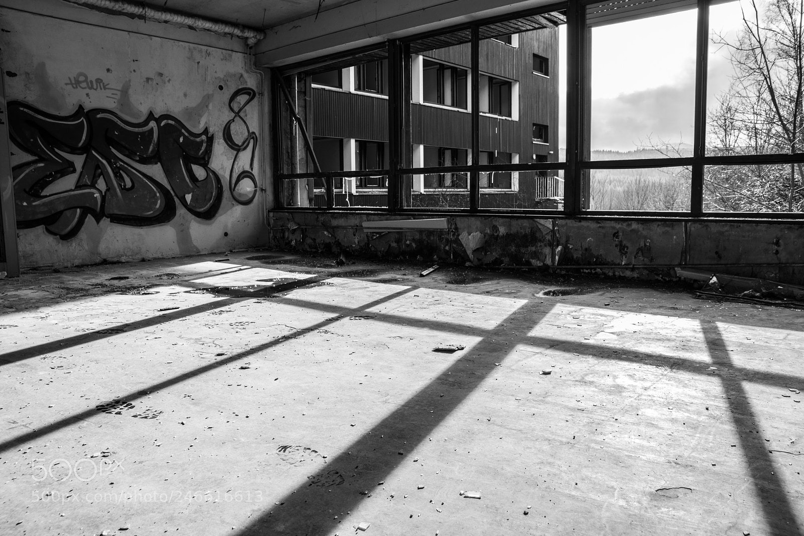 Nikon D5200 sample photo. Untitled photography
