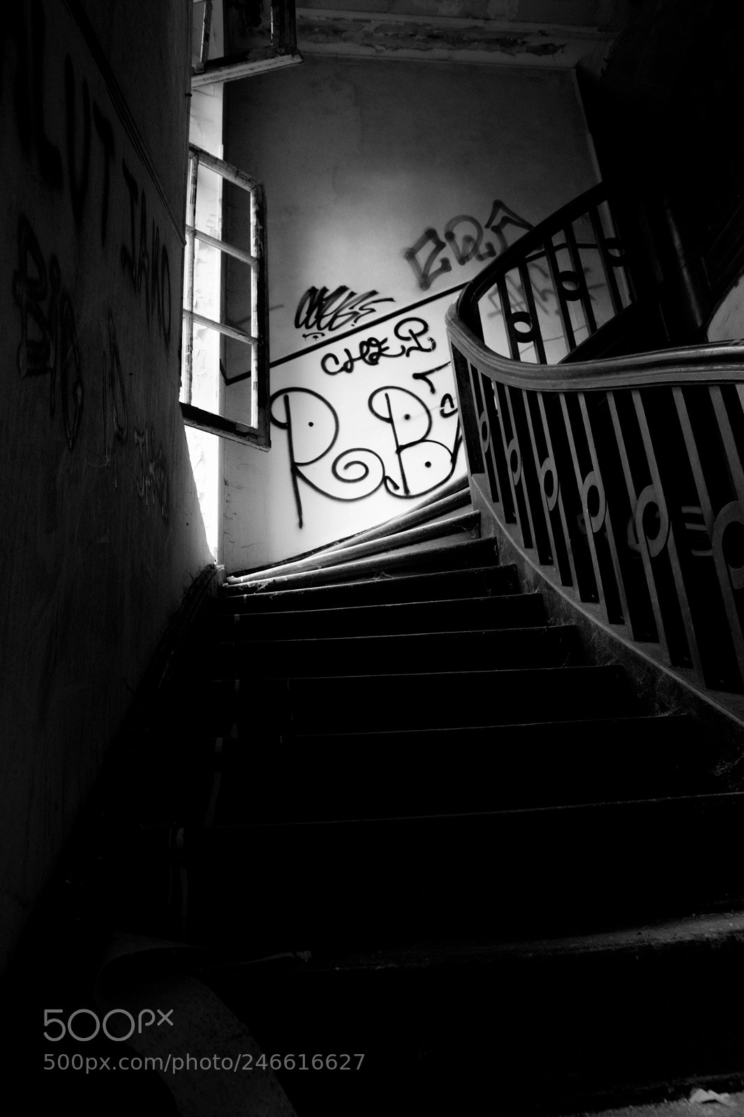 Nikon D5200 sample photo. Untitled photography