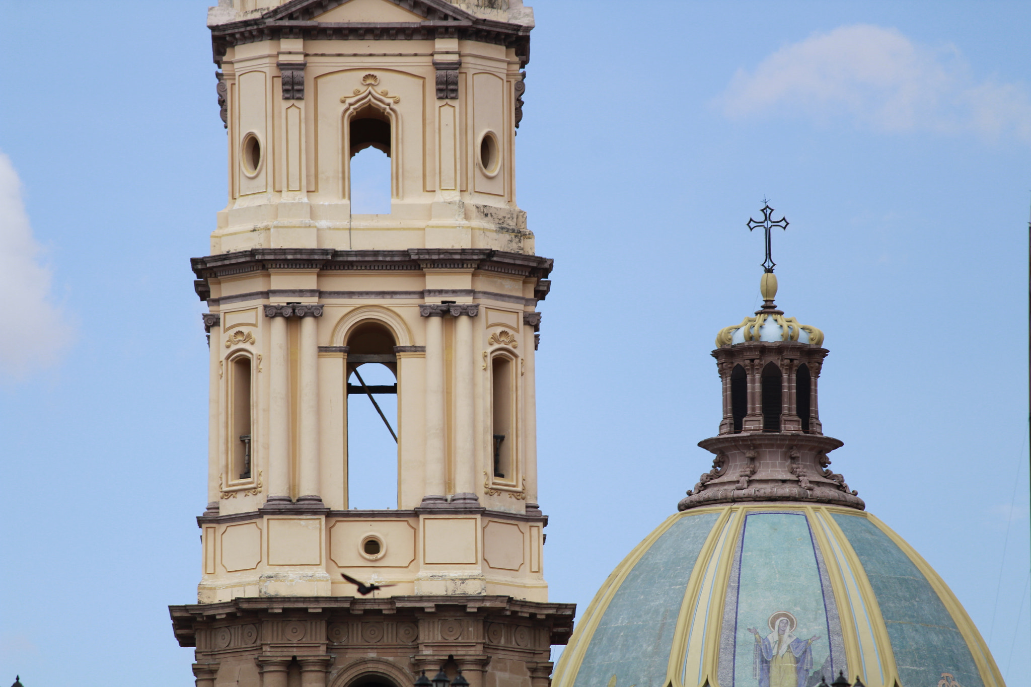 Canon EF-S 55-250mm F4-5.6 IS II sample photo. Vecinos photography
